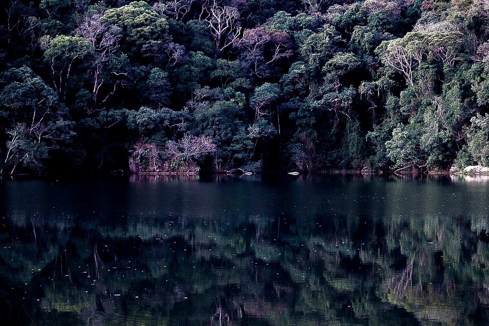 Itapetinga State Park, Atibaia