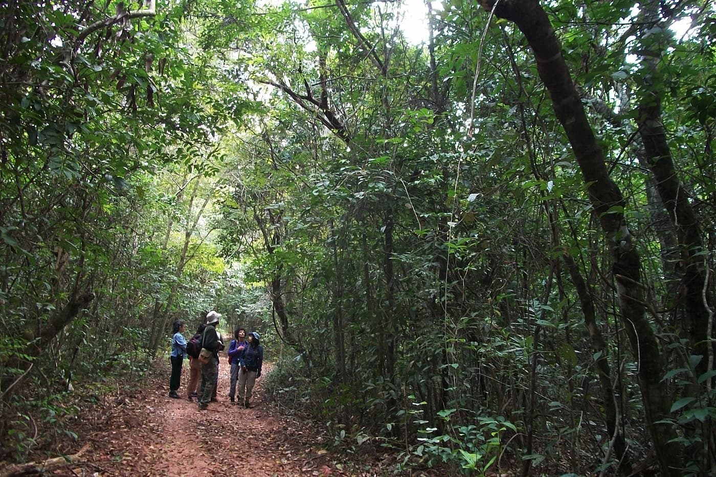 Matas do Segredo State Park, Campo Grande
