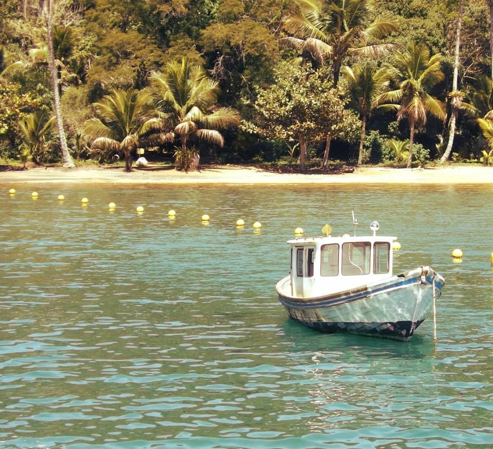 Paraty-Mirim and its State Park, Paraty