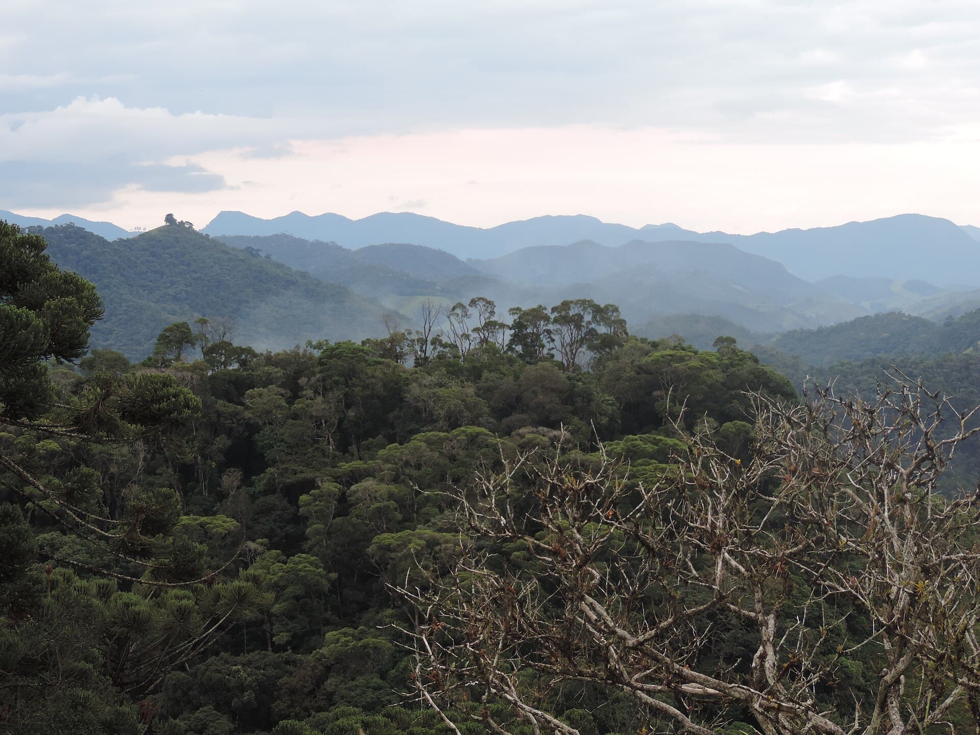 Pedra Selada State Park, Resende