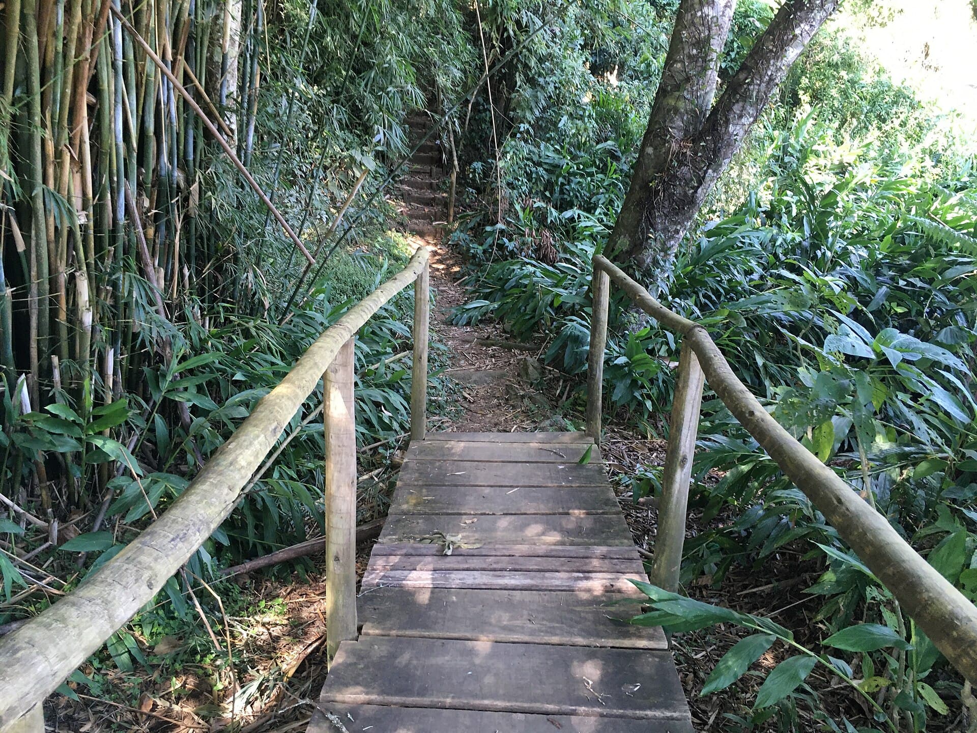 Pedra Selada State Park, Resende