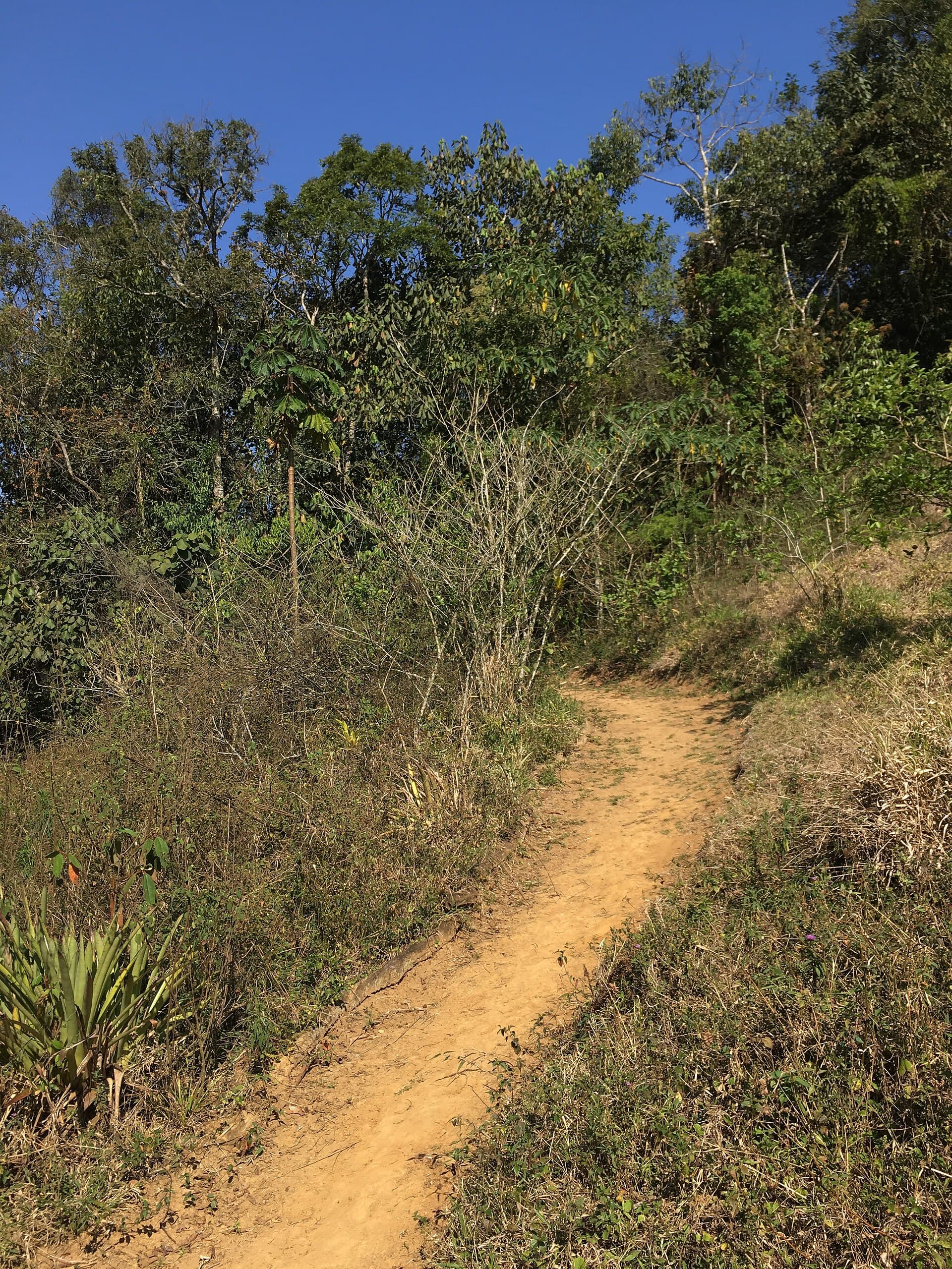 Pedra Selada State Park, Resende