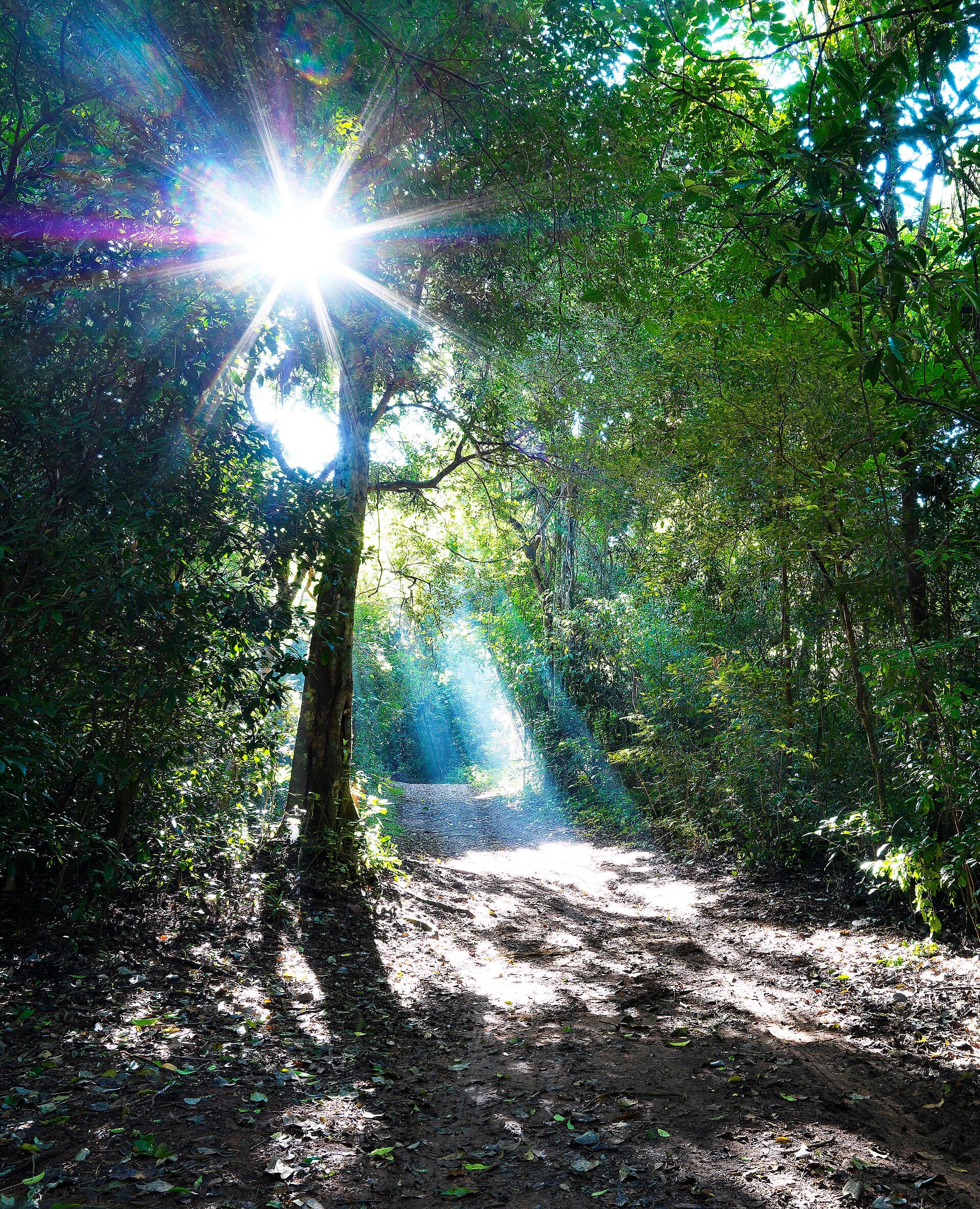 Porto Ferreira State Park, Porto Ferreira