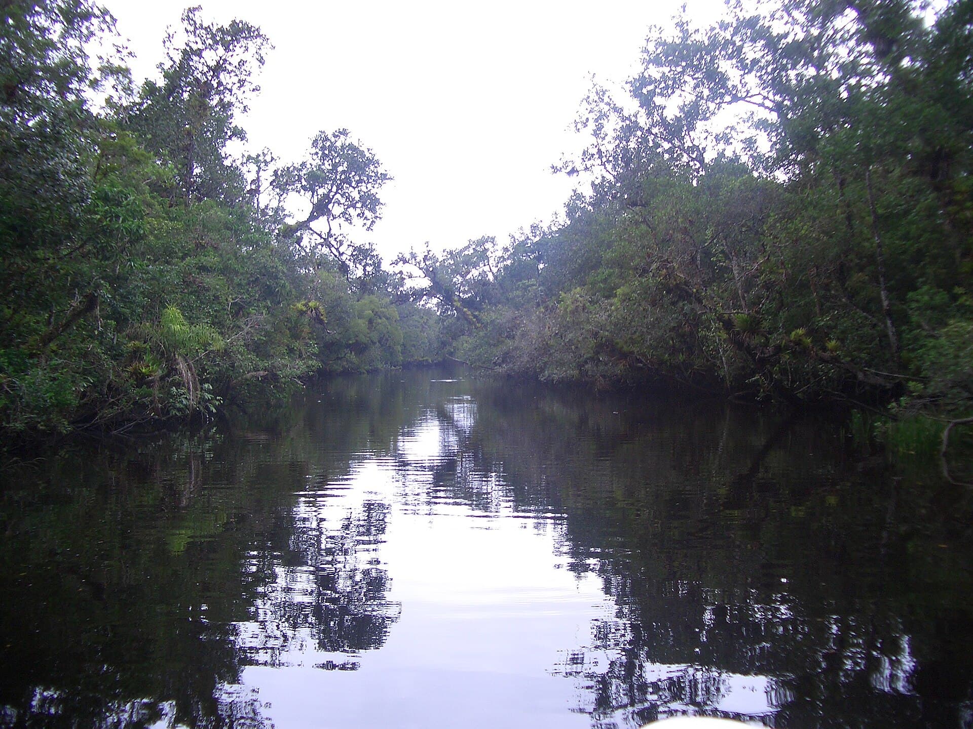 Restinga de Bertioga State Park, Bertioga
