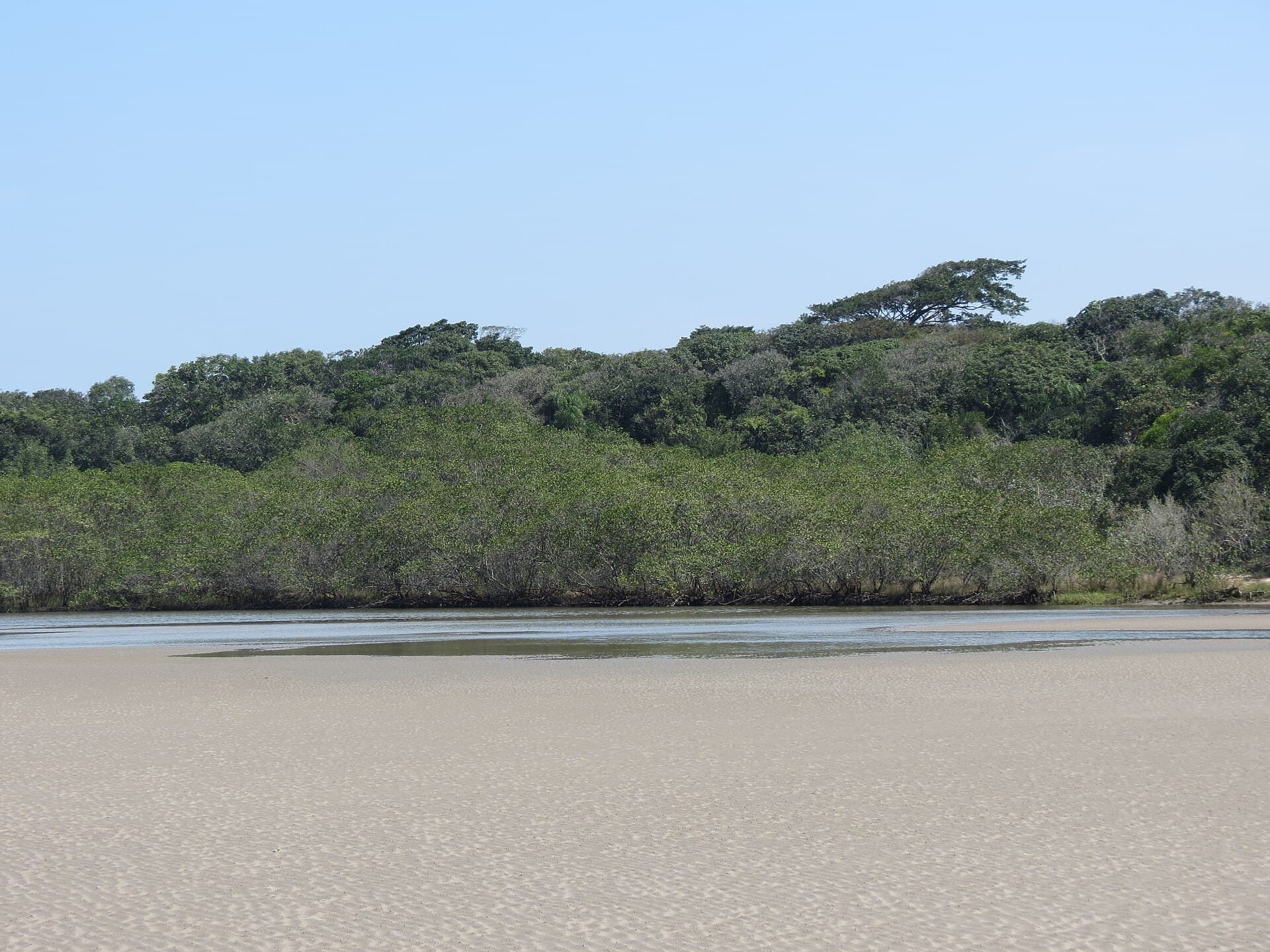 Restinga de Bertioga State Park, Bertioga
