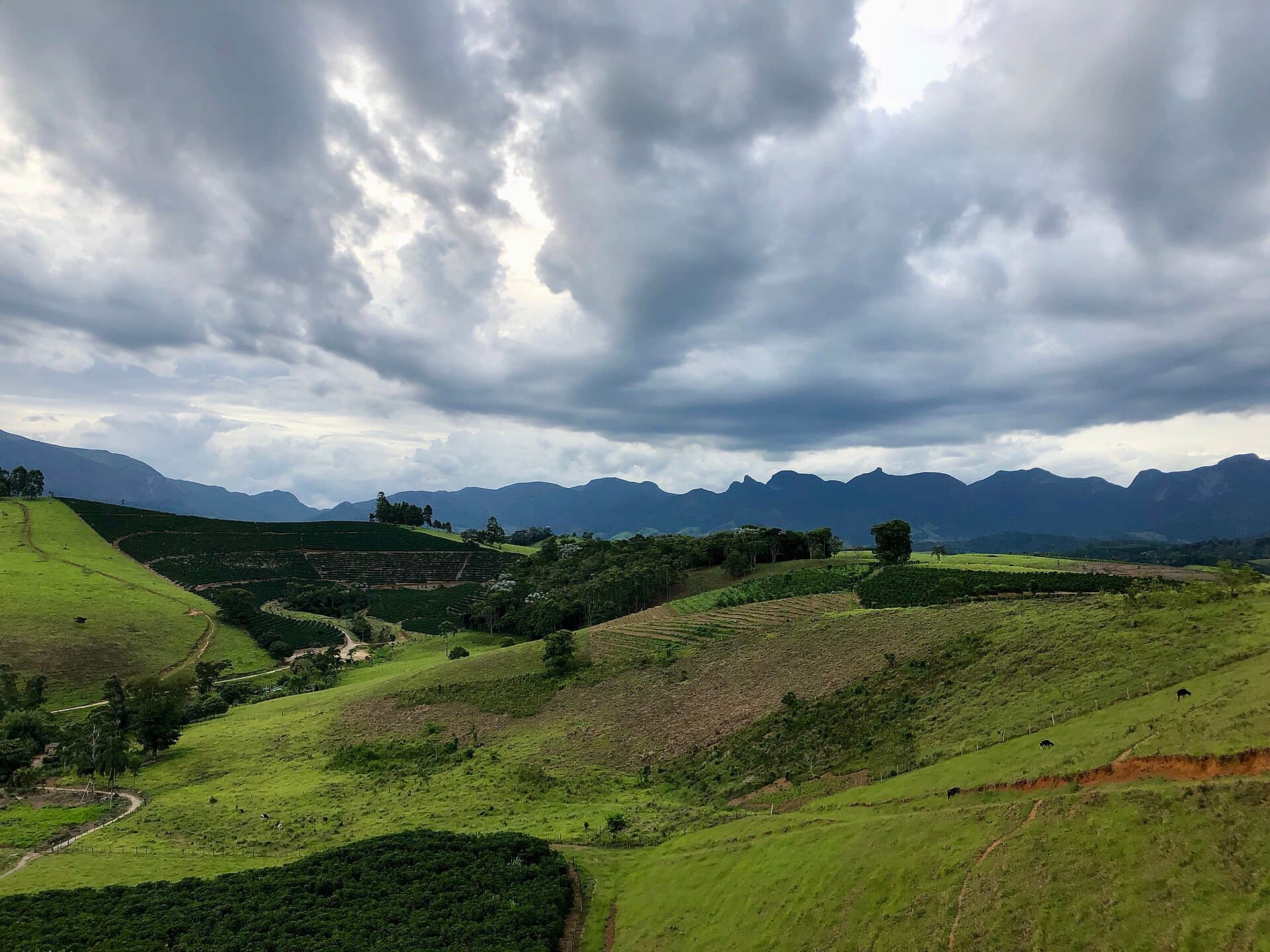 Serra do Brigadeiro State Park, Araponga