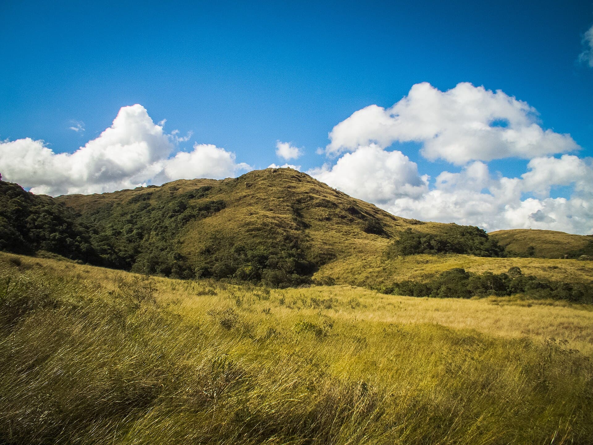 Serra do Tabuleiro State Park, Palhoça