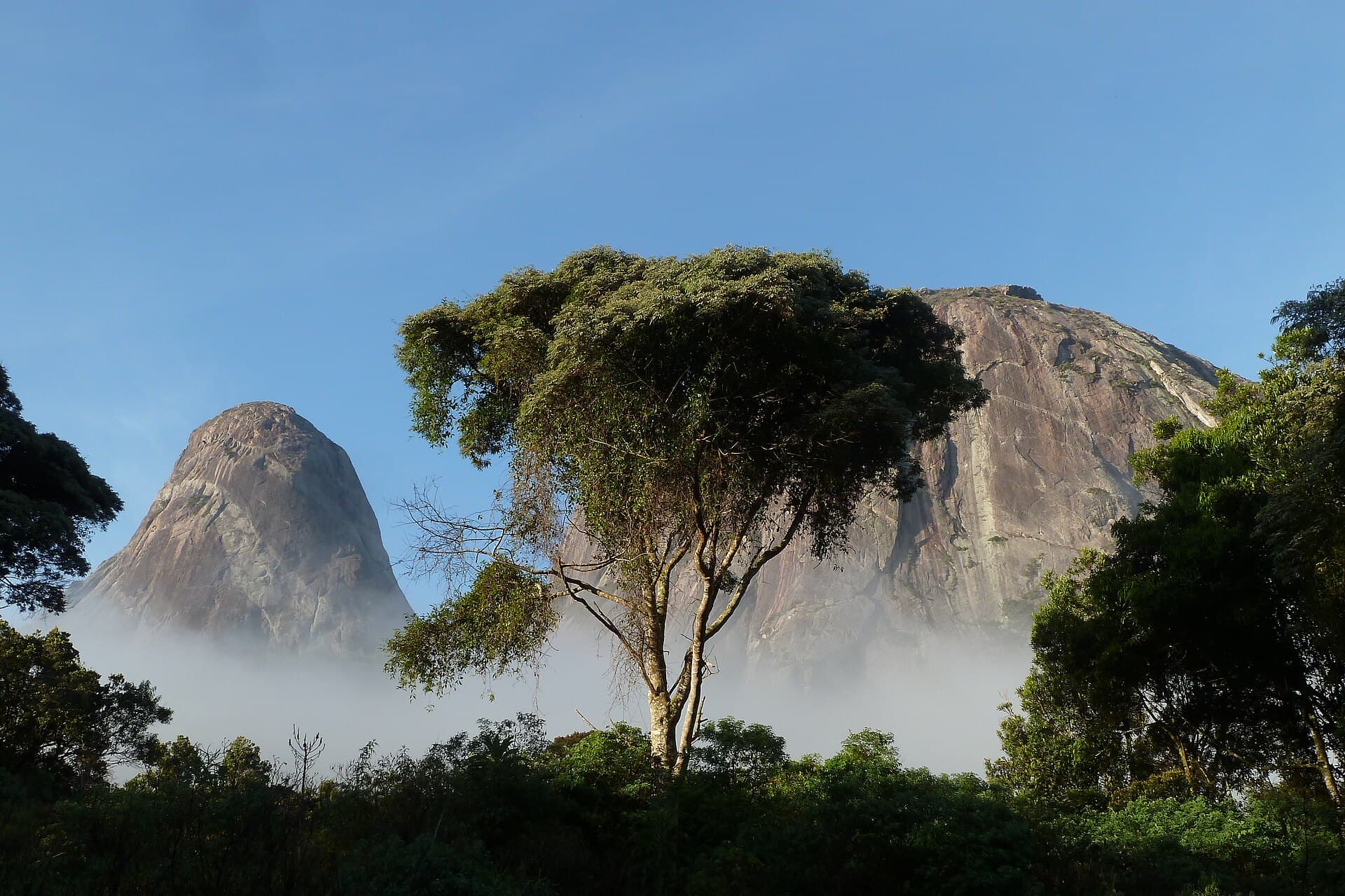 Três Picos State Park, Nova Friburgo