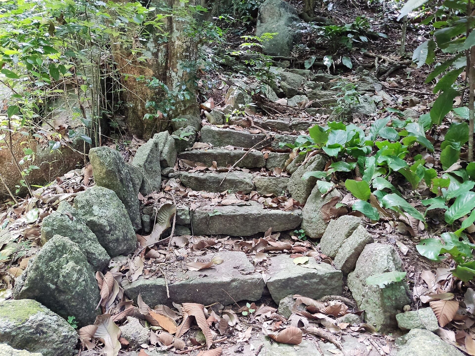 Parque Gruta da Onça