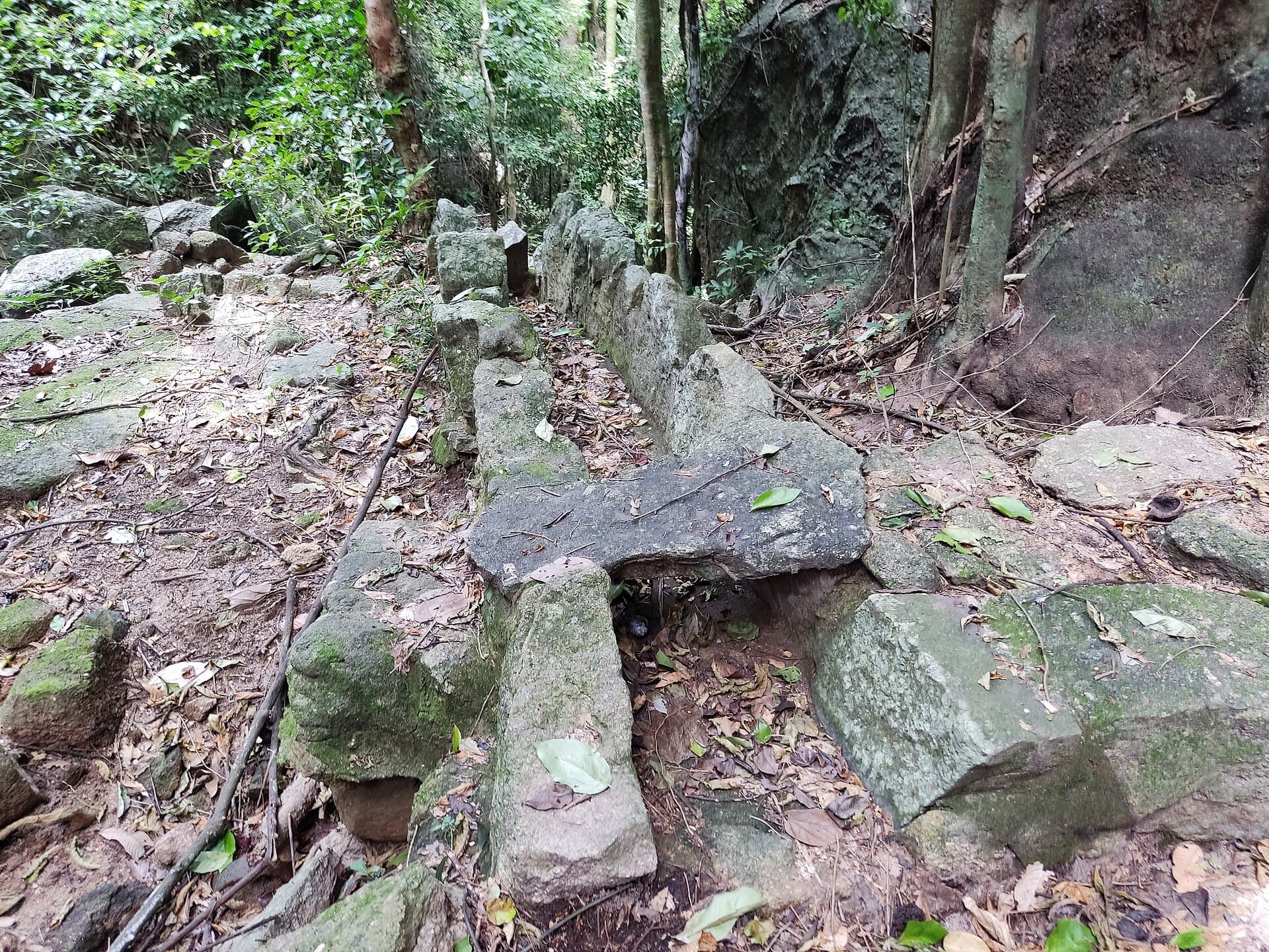 Parque Gruta da Onça, Vitória