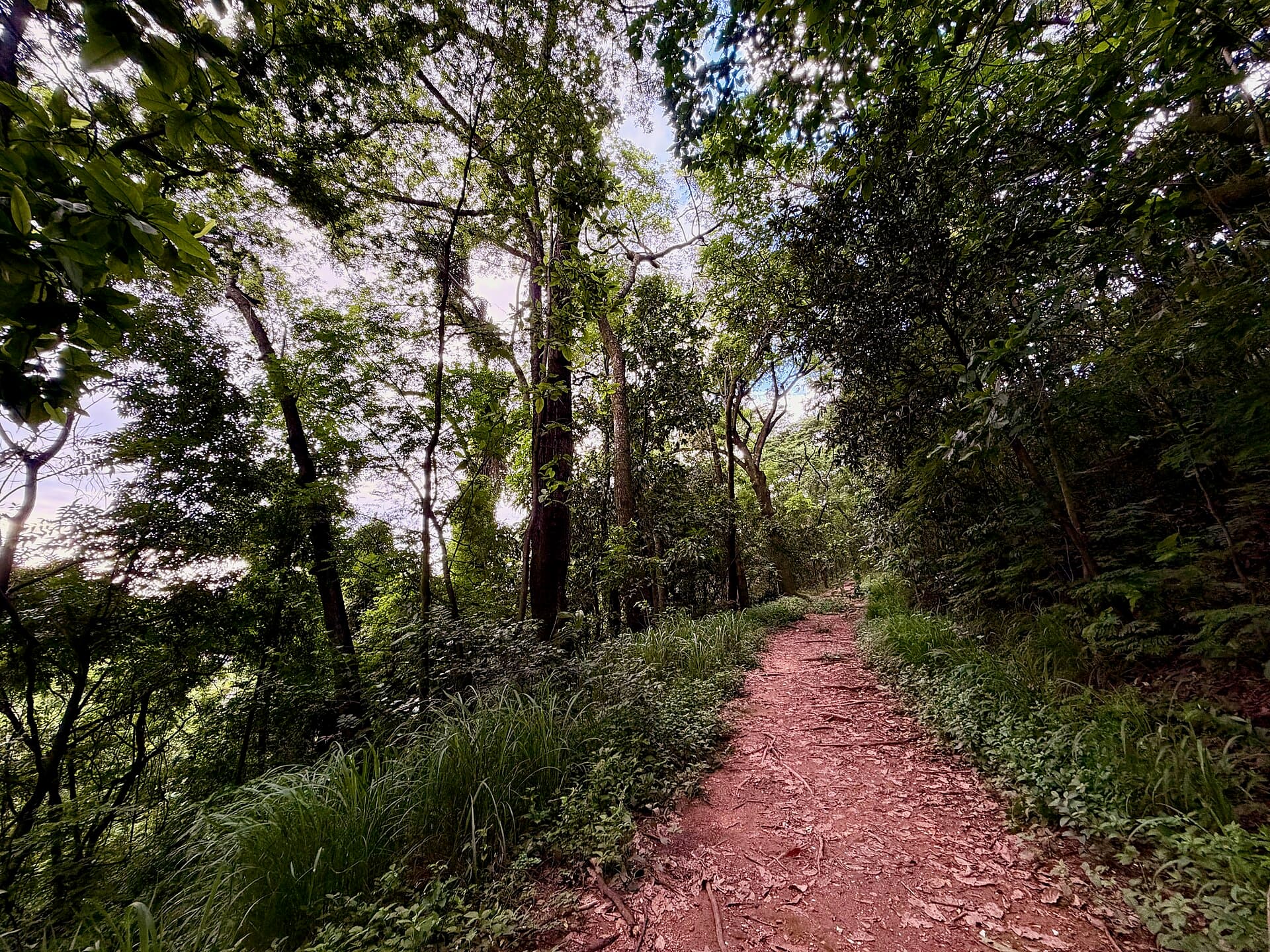 Jacques Cousteau Municipal Park, Belo Horizonte