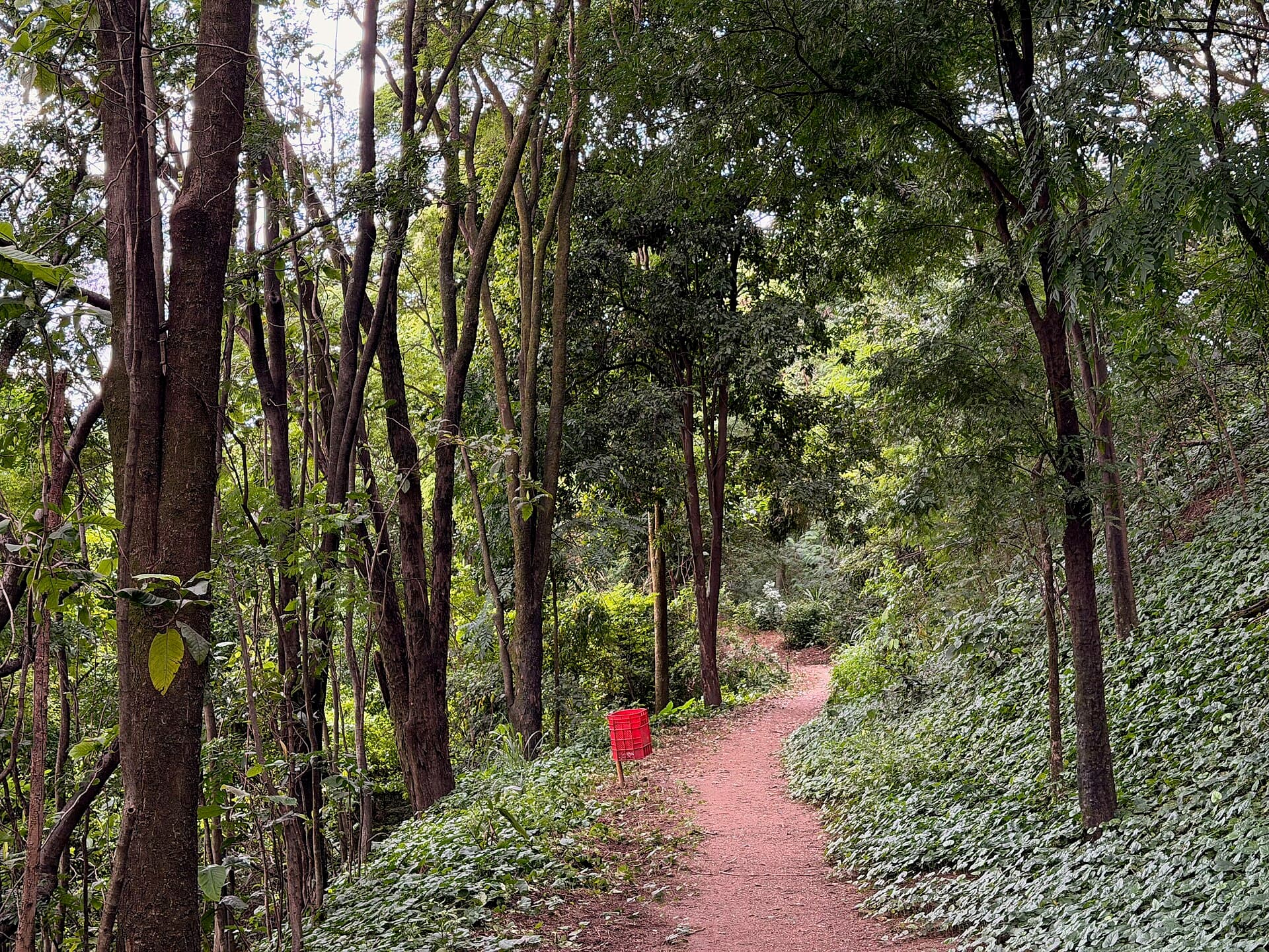 Jacques Cousteau Municipal Park, Belo Horizonte