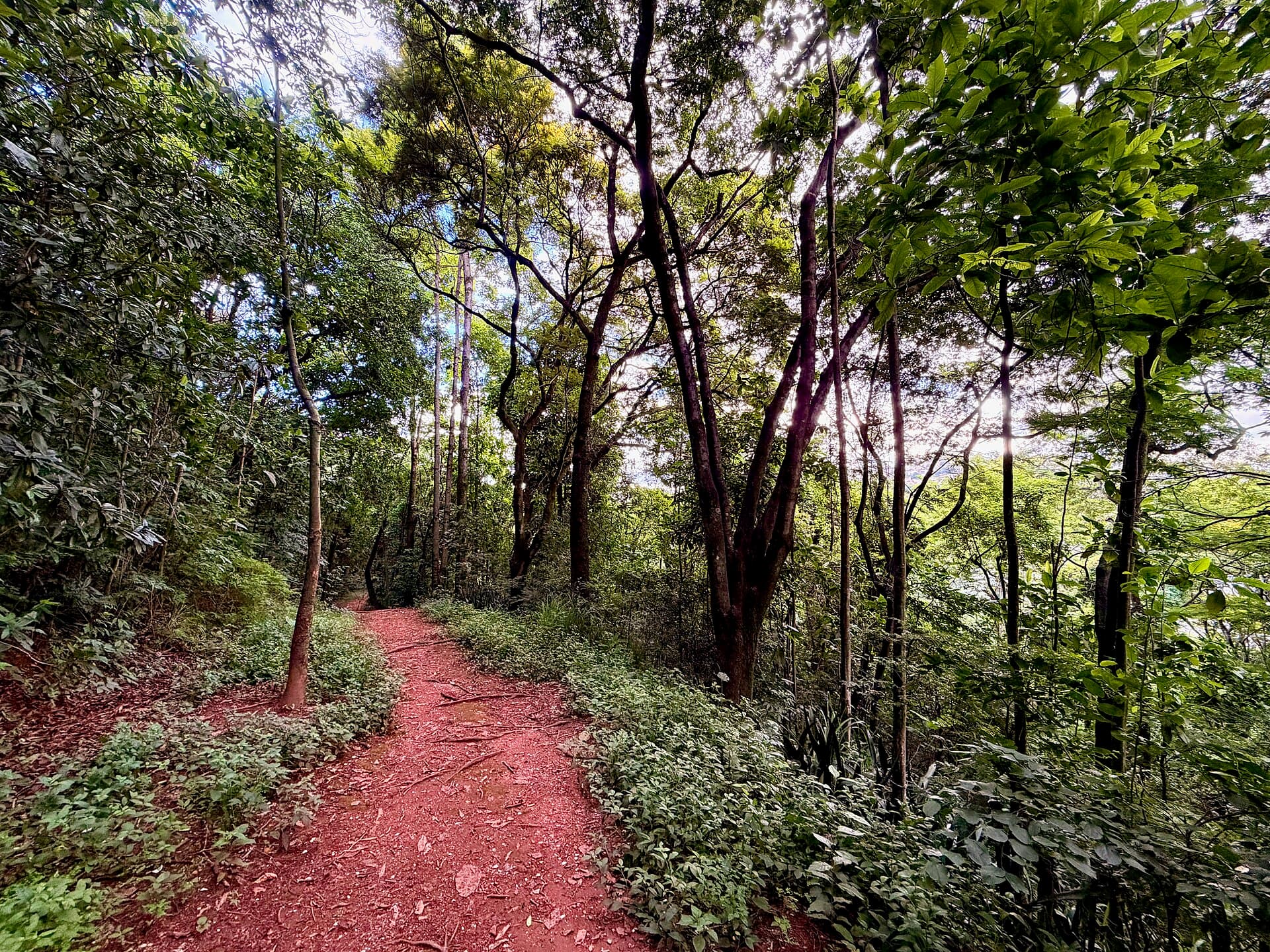 Jacques Cousteau Municipal Park, Belo Horizonte
