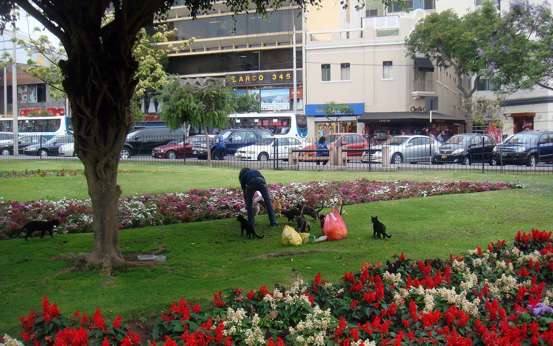 Parque Kennedy, Miraflores