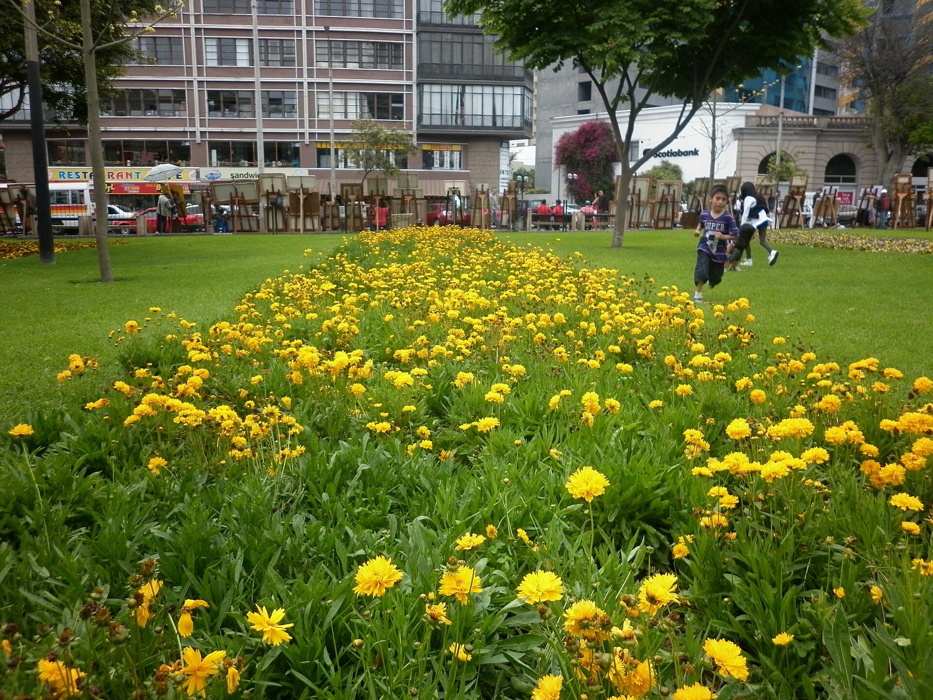 Parque Kennedy, Miraflores