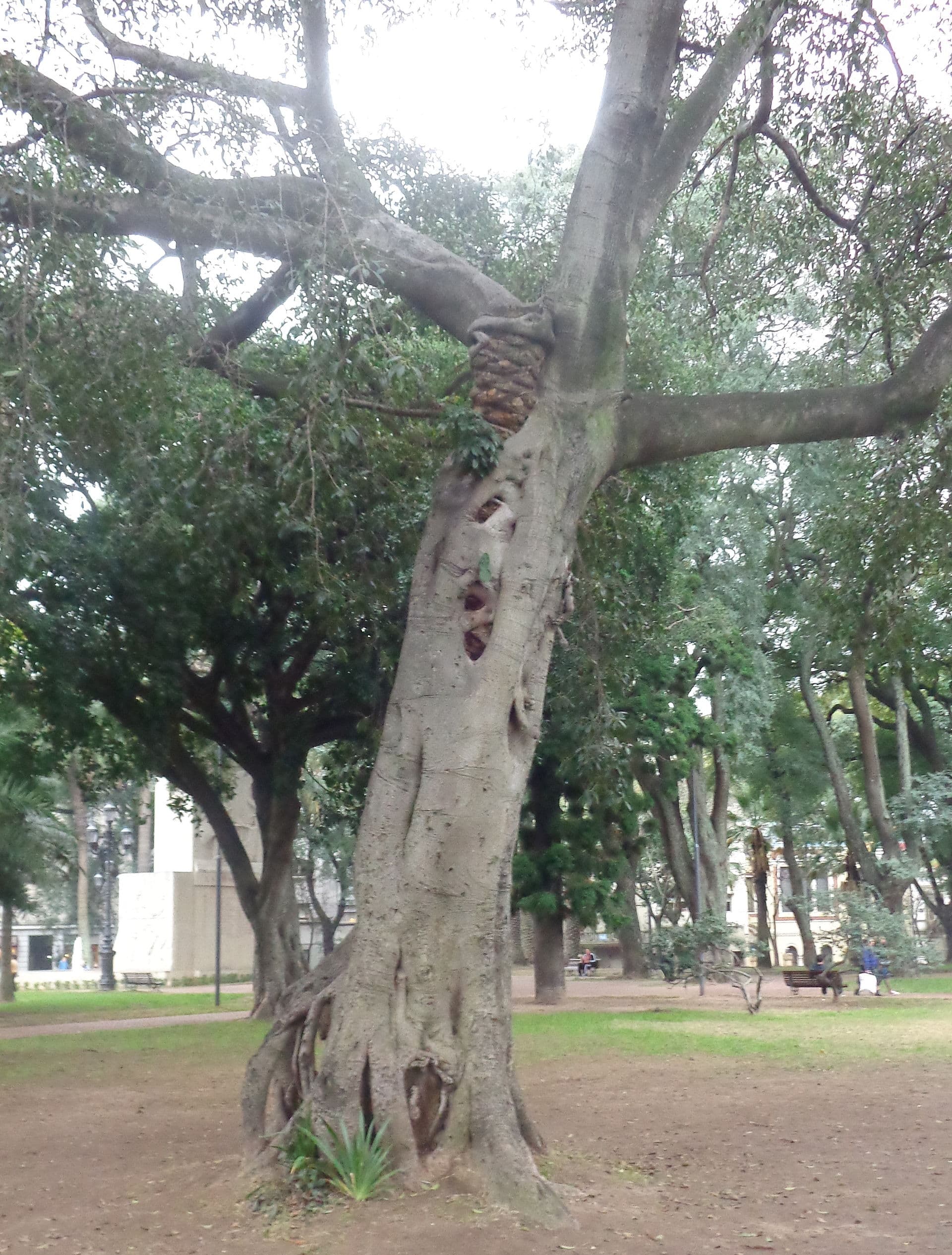 Parque Lezama, Buenos Aires