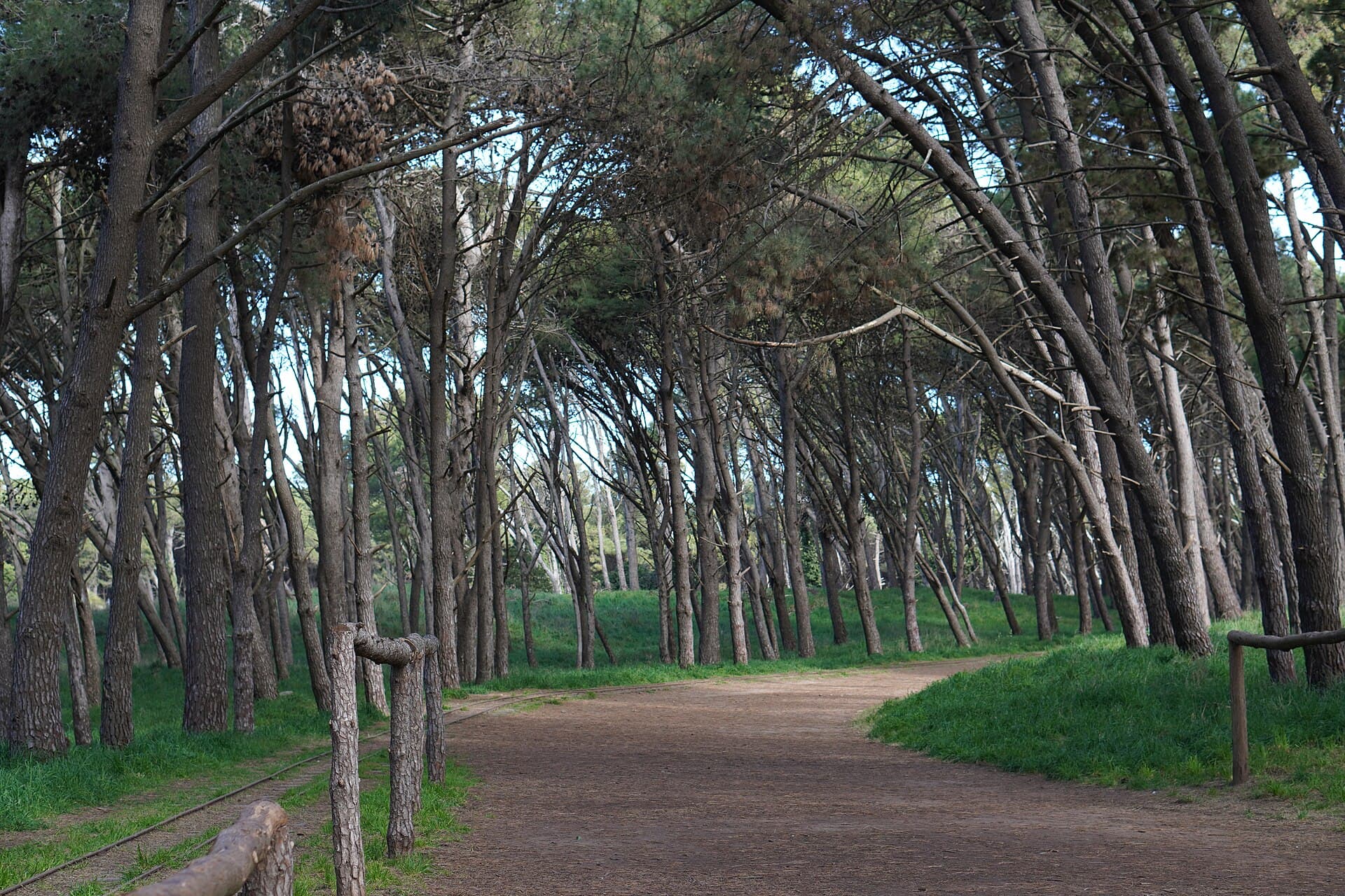 Parque Miguel Lillo (Necochea), Necochea