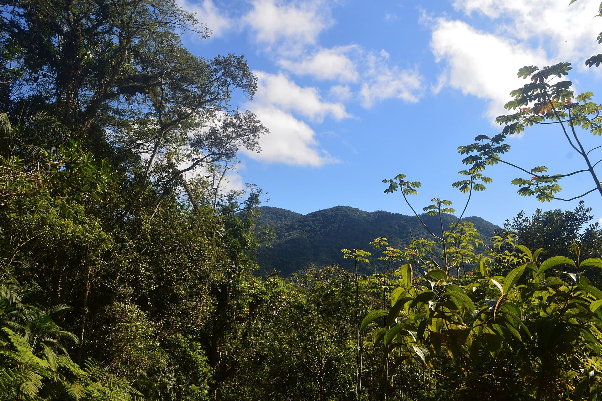 Morro do Baú Botanical Park, Ilhota