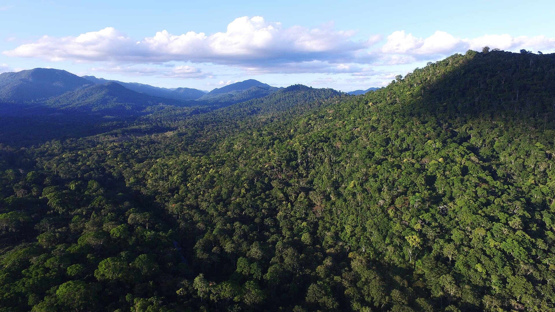 Pau Brasil National Park, Porto Seguro