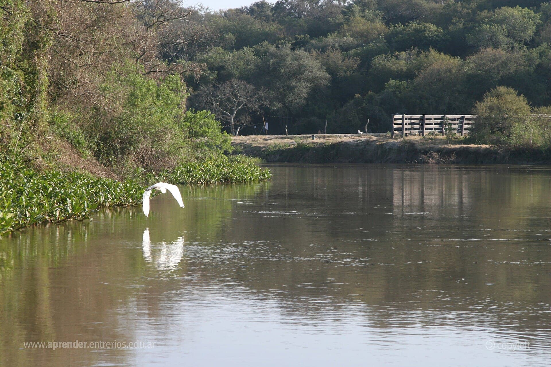 Pre-Delta National Park, Paraná