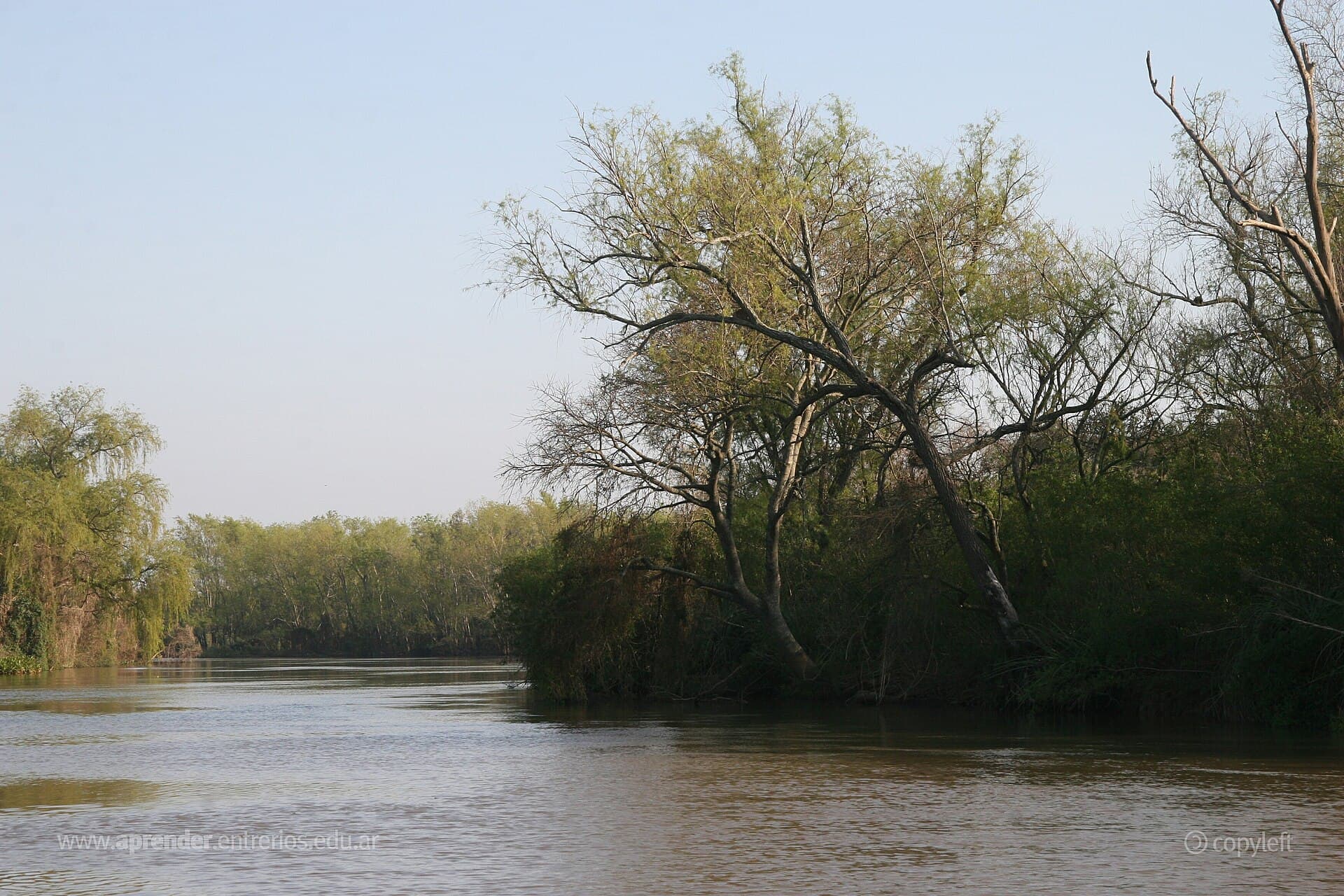 Pre-Delta National Park, Paraná
