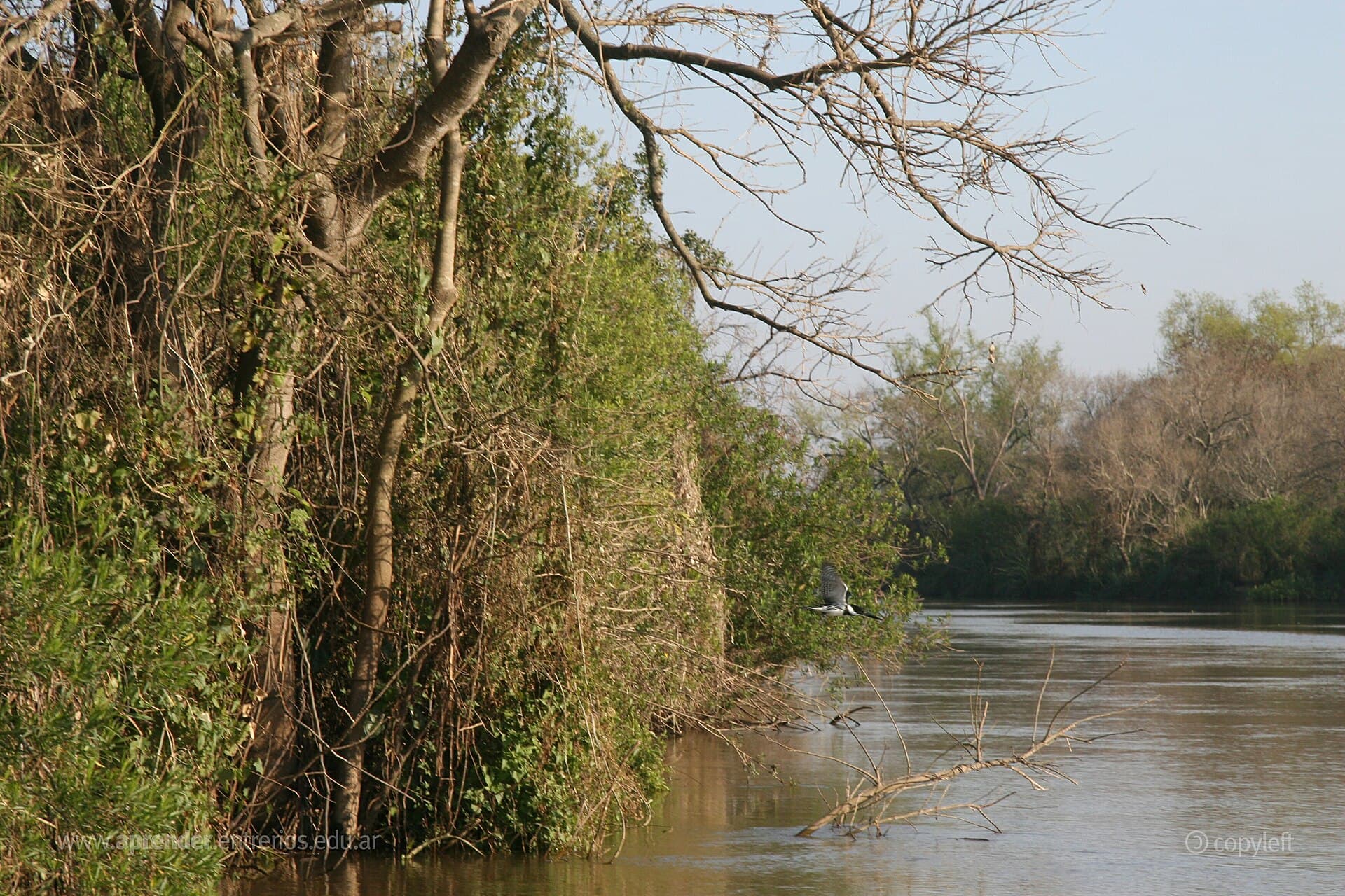 Pre-Delta National Park, Paraná