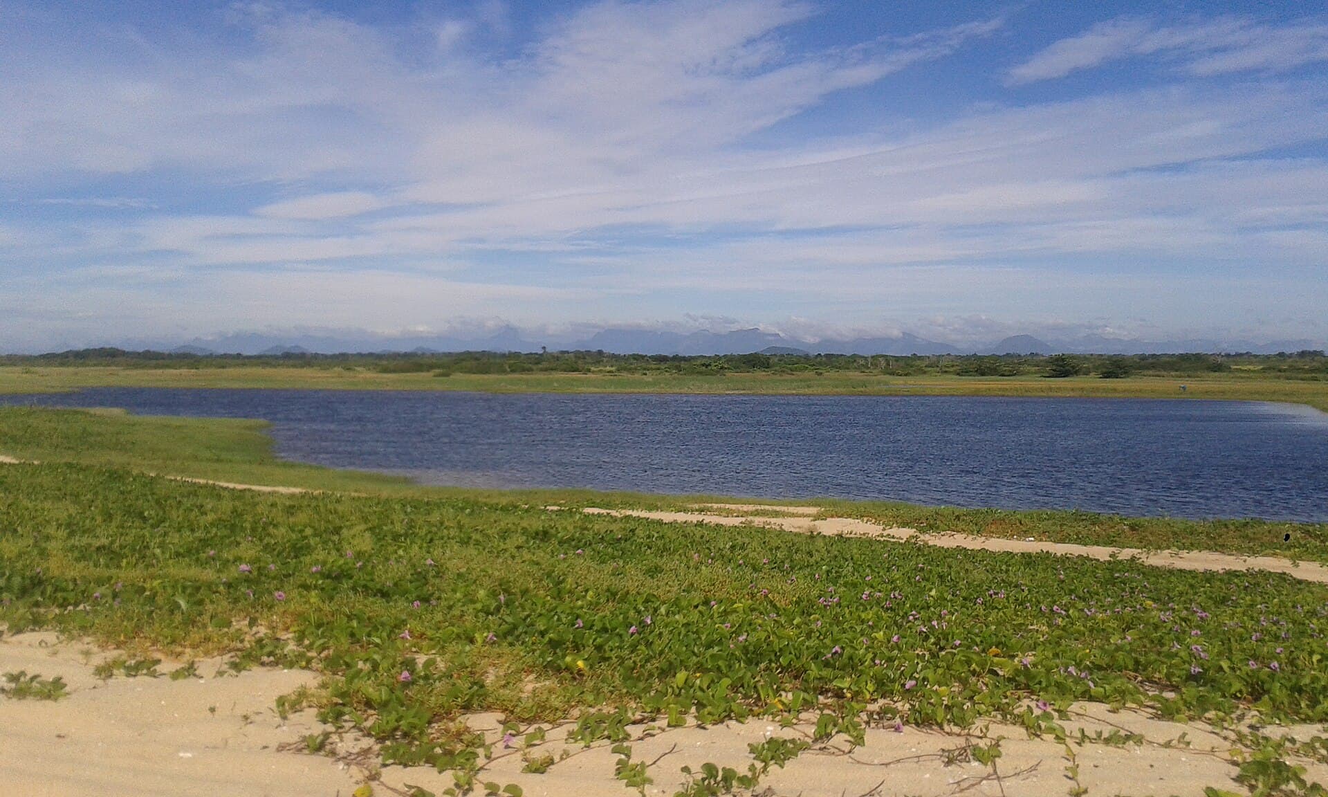 Restinga de Jurubatiba National Park, Quissamã