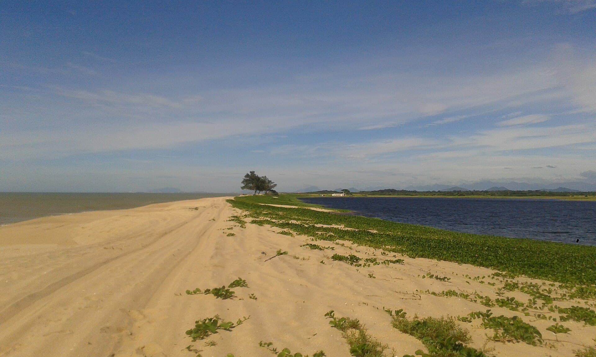 Restinga de Jurubatiba National Park, Quissamã