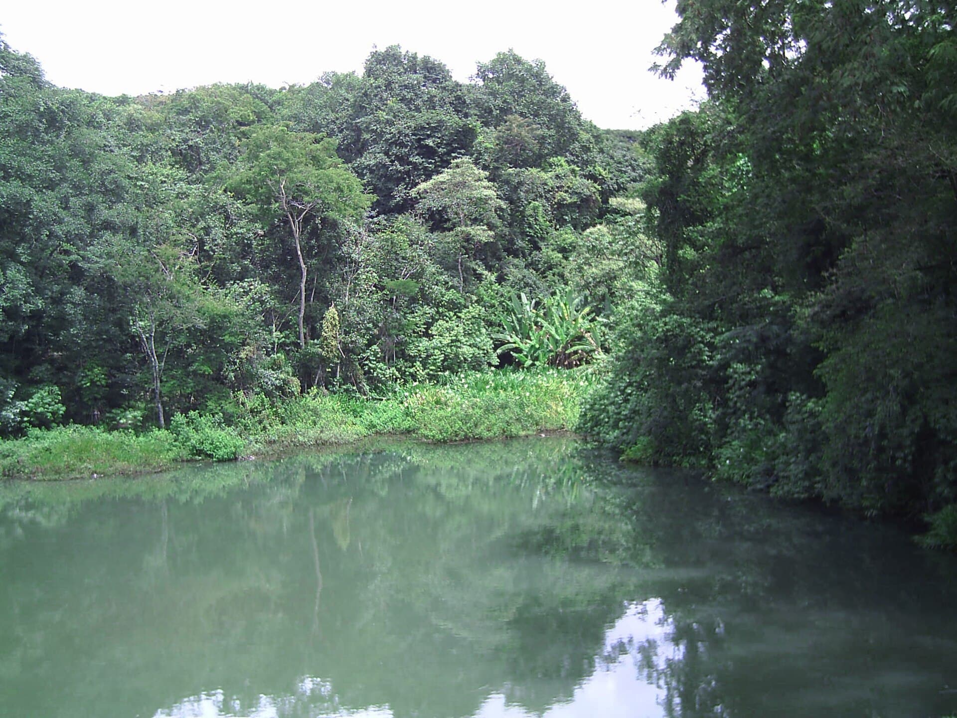 Parque Olhos D'Água, Brasília