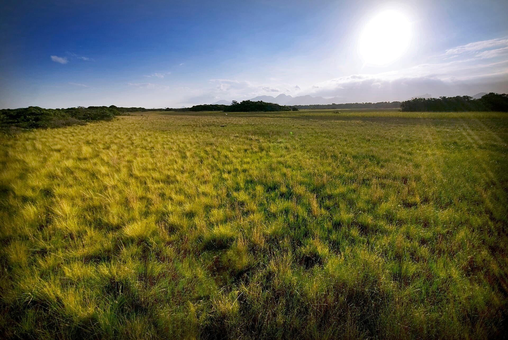 Paulo César Vinha State Park, Guarapari