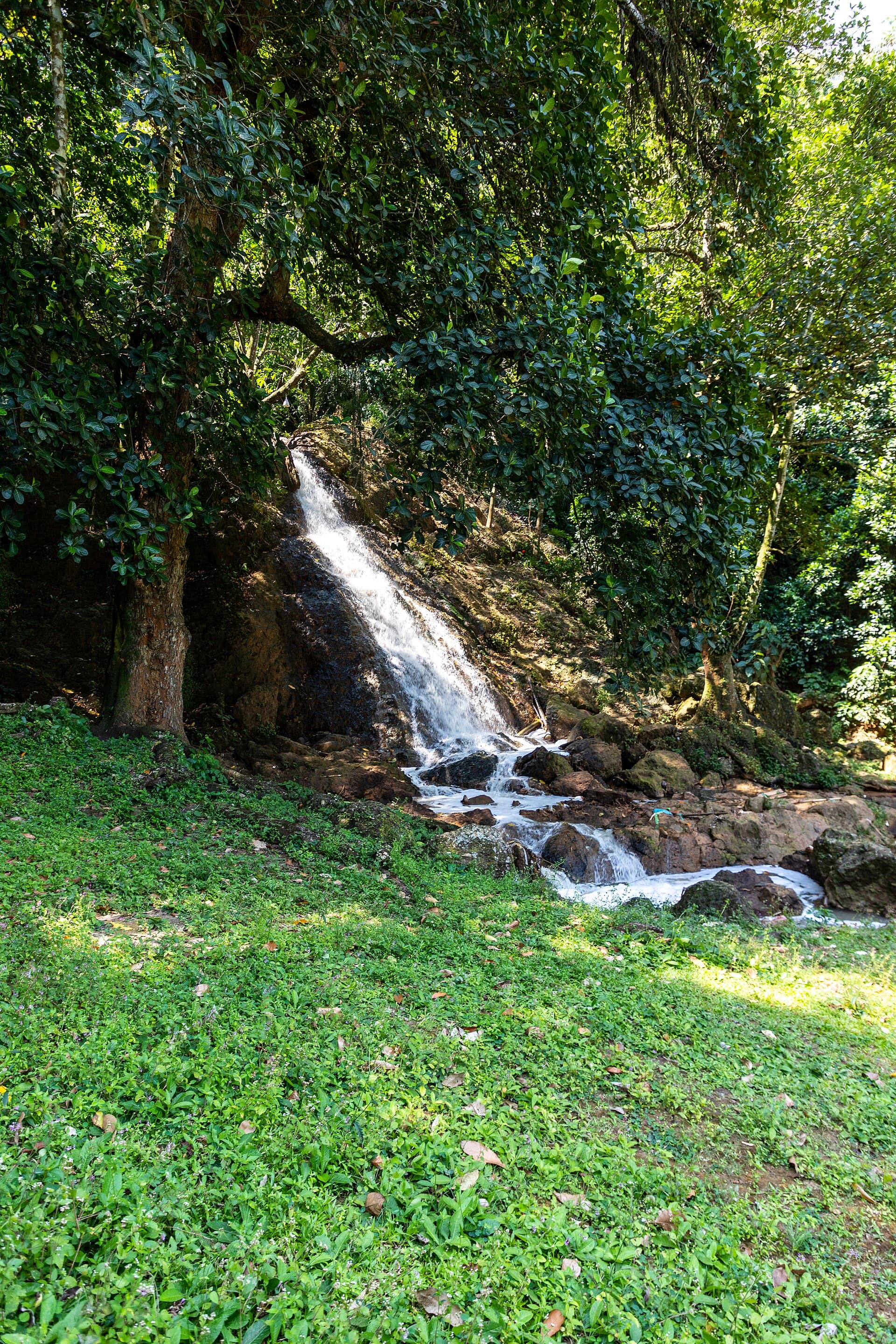 Parque São Bartolomeu, Salvador