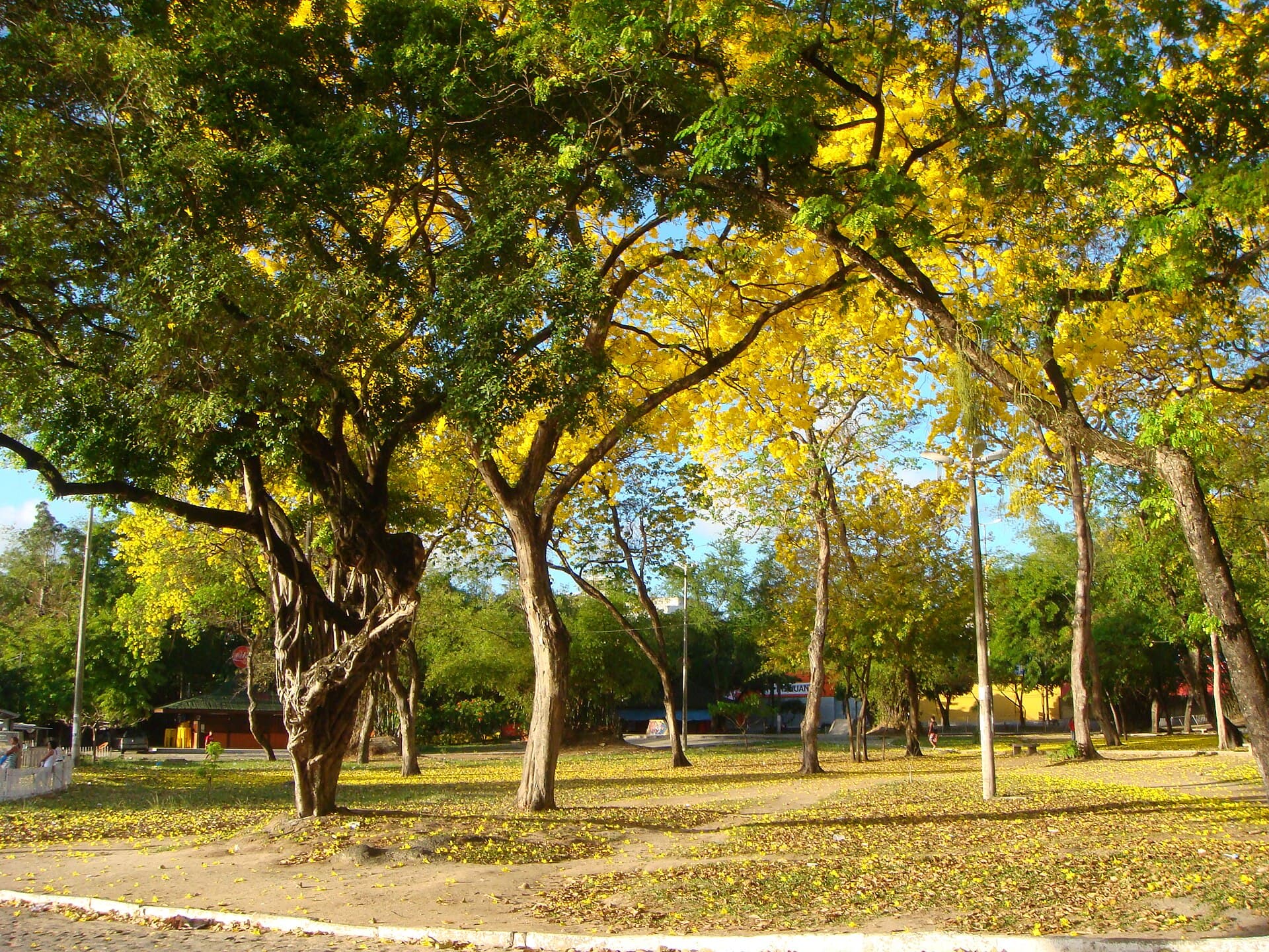 Parque Sólon de Lucena (Parque da Lagoa), João Pessoa