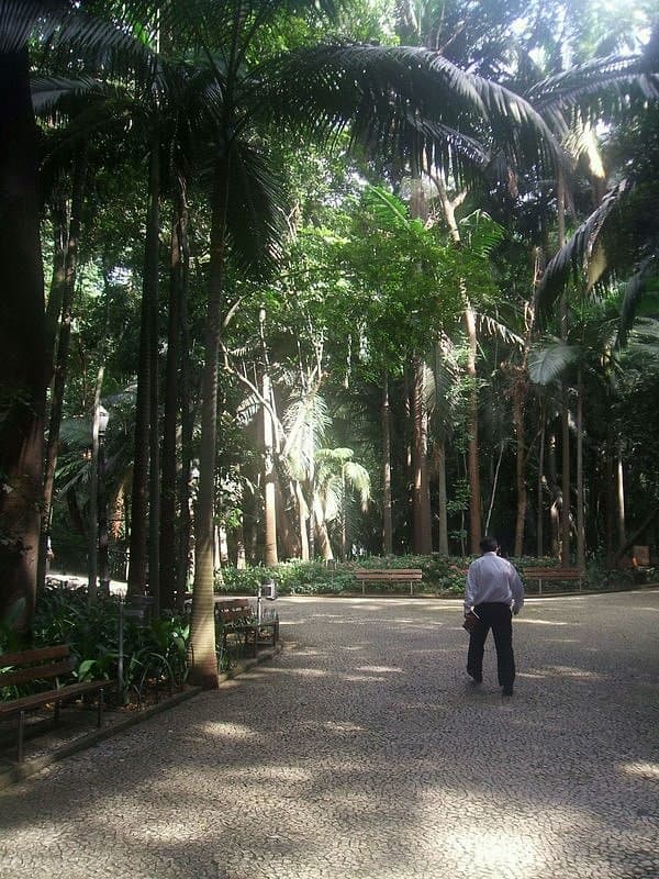 Parque Trianon, São Paulo