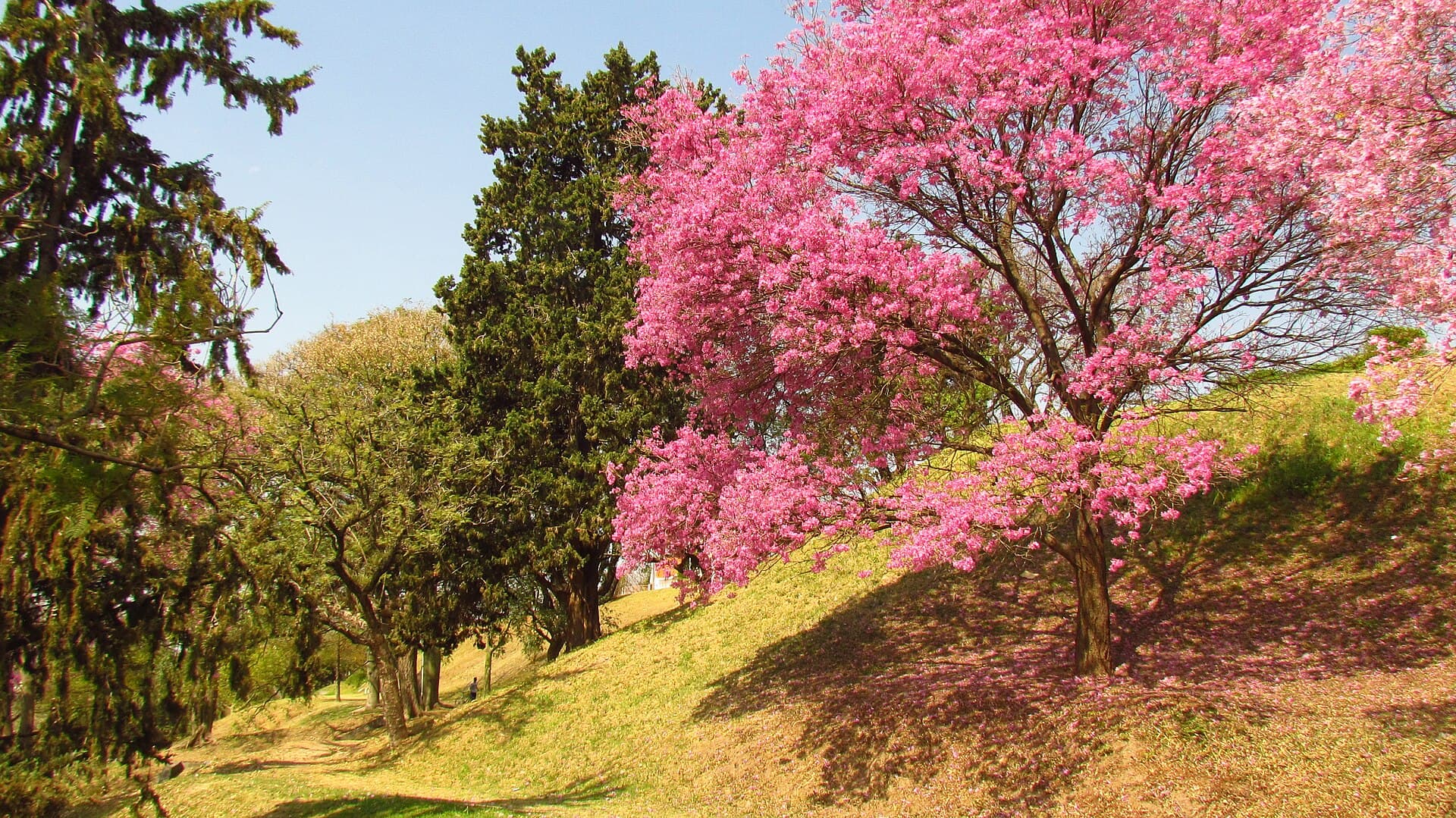 Parque Urquiza (Paraná), Paraná