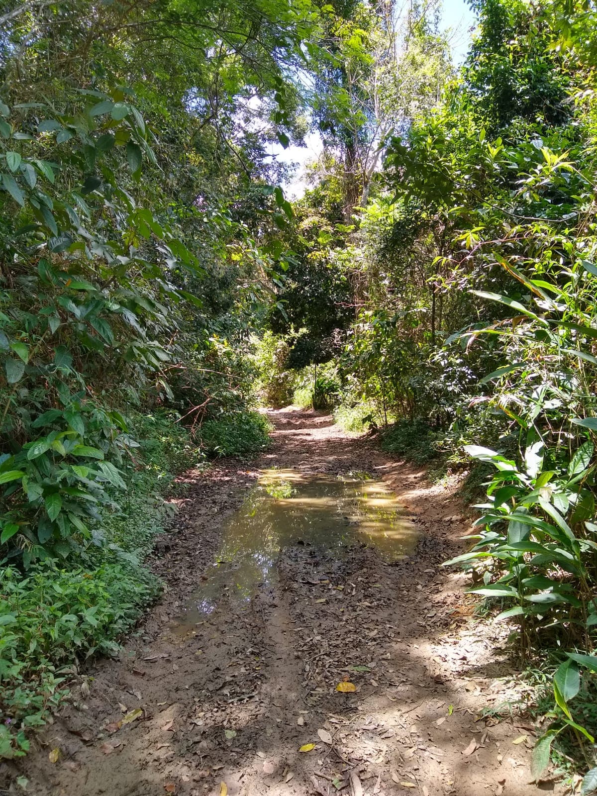 Vasconcelos Sobrinho Park (Caruaru), Caruaru