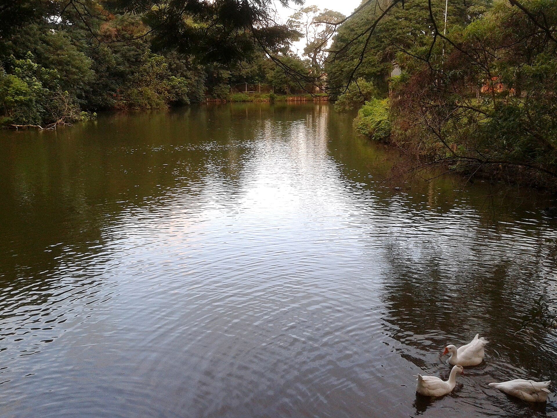 Parque Vila dos Remédios, São Paulo