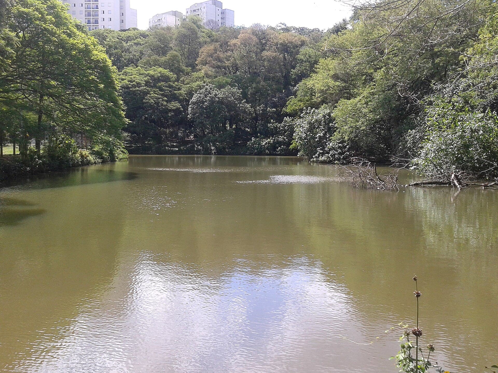 Parque Vila dos Remédios, São Paulo