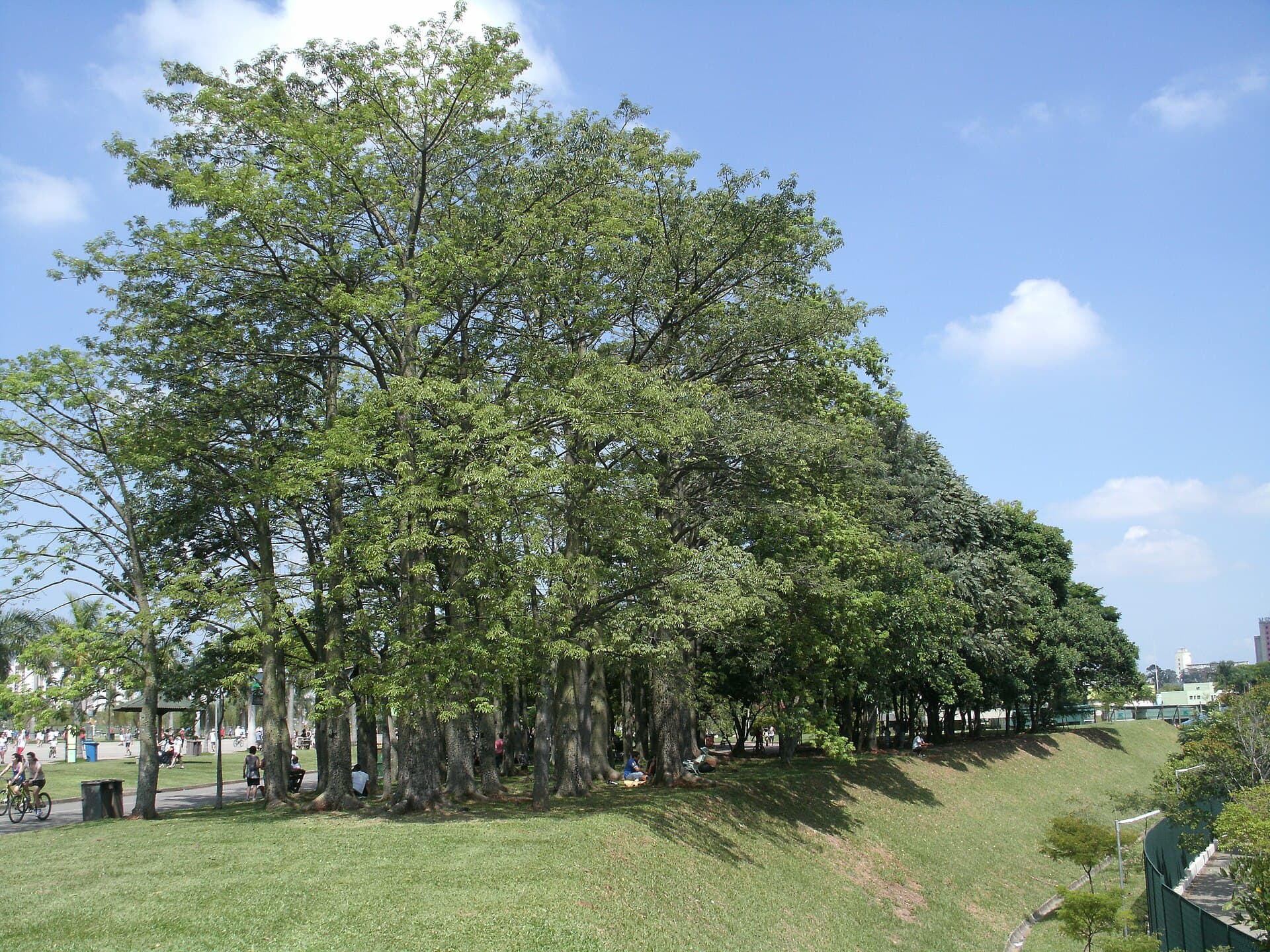 Villa-Lobos Park, São Paulo