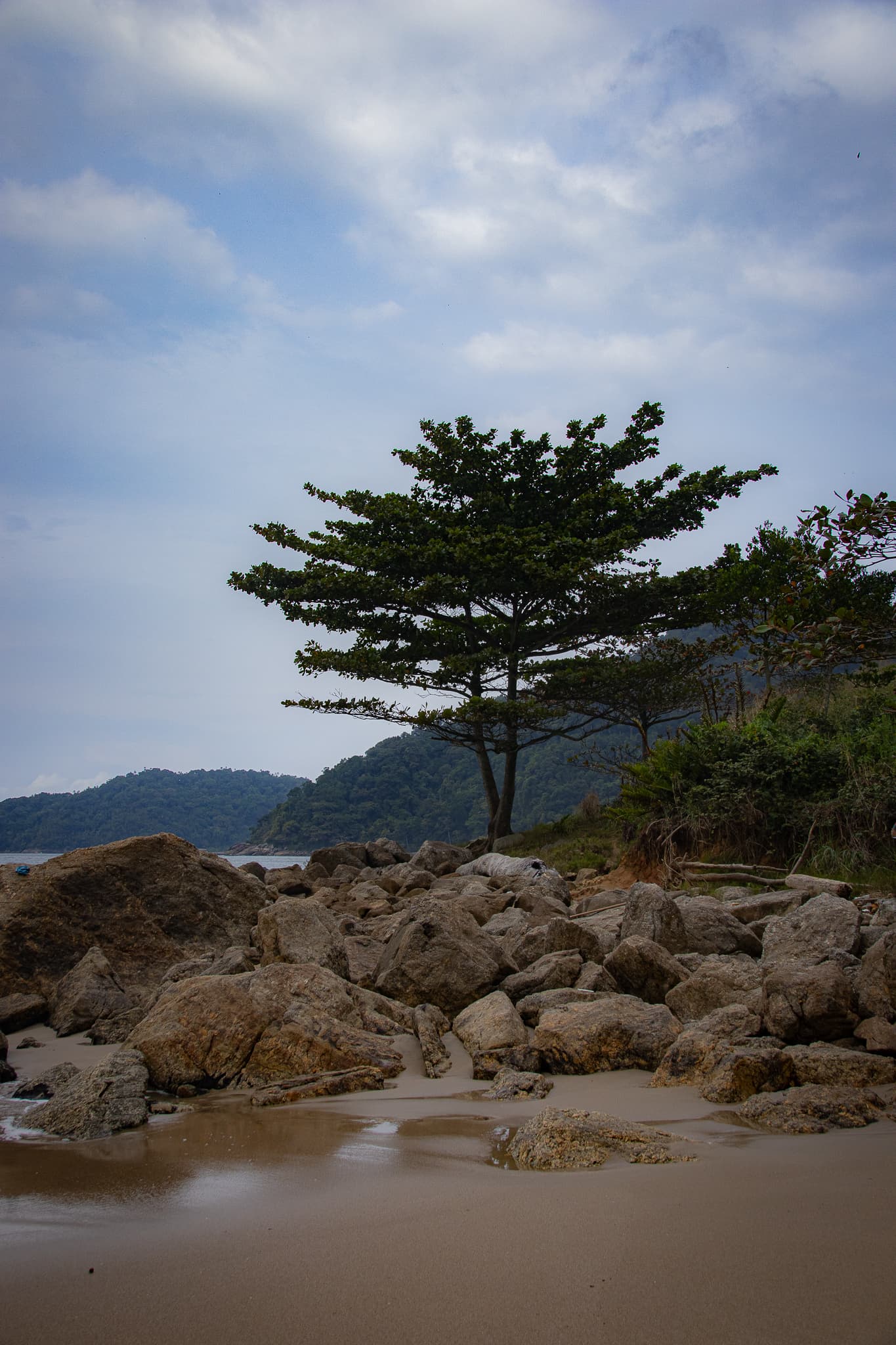 Xixová-Japuí State Park, São Vicente