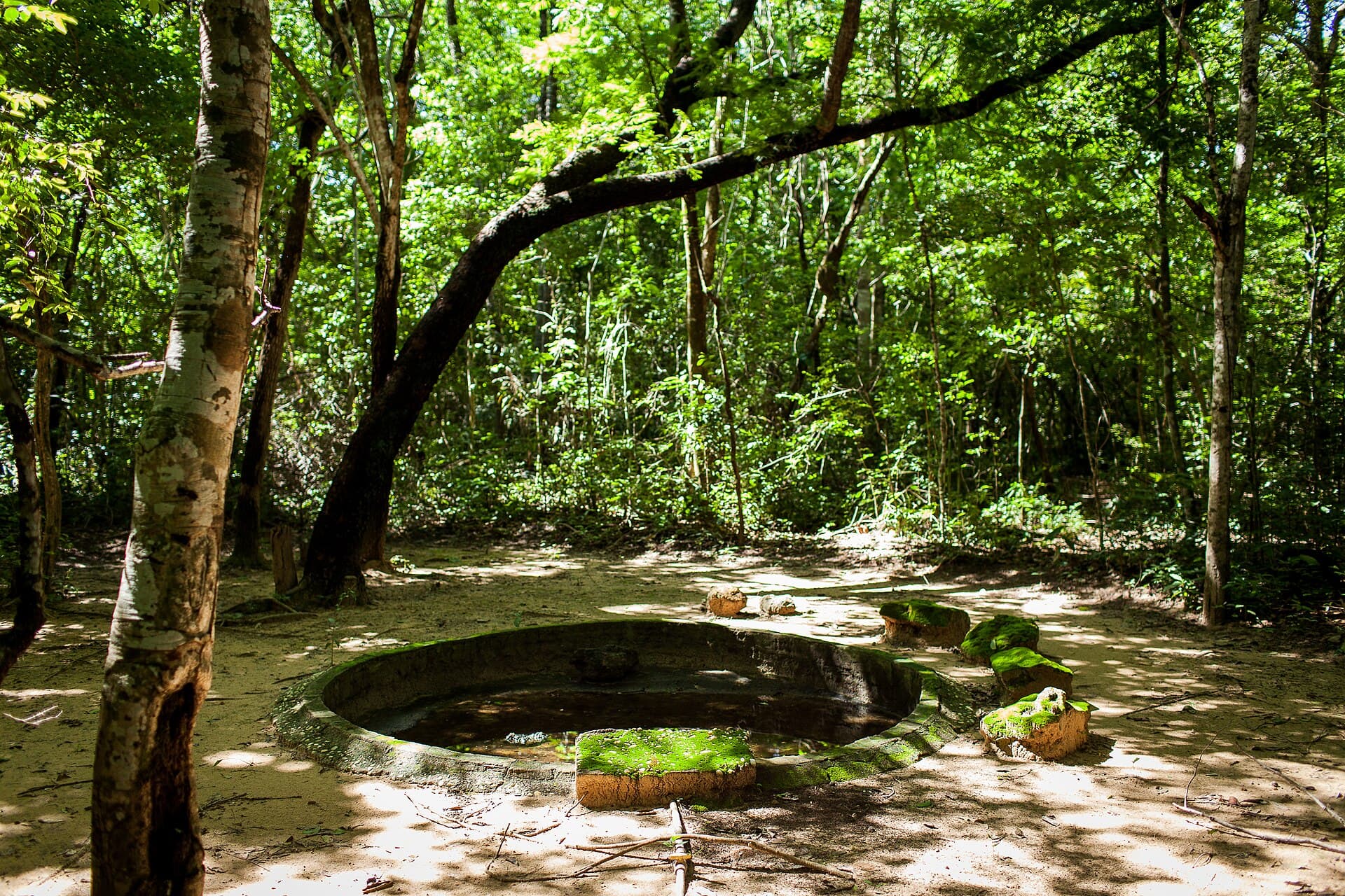Parque Zoobotânico (Teresina), Teresina