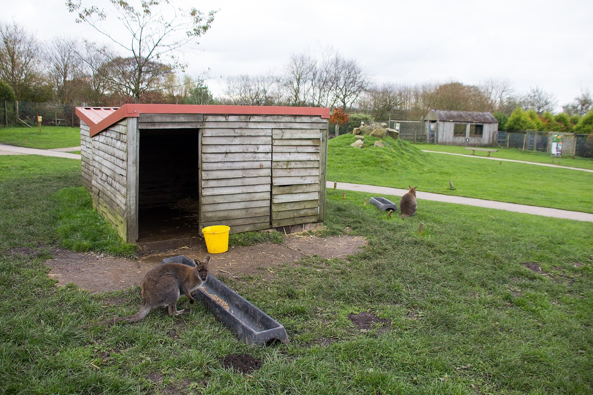 Peak Wildlife Park, Peak District