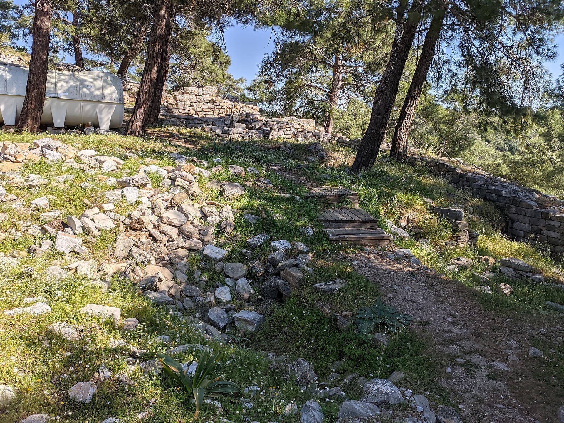مدينة بيداسا الأثرية، بودروم