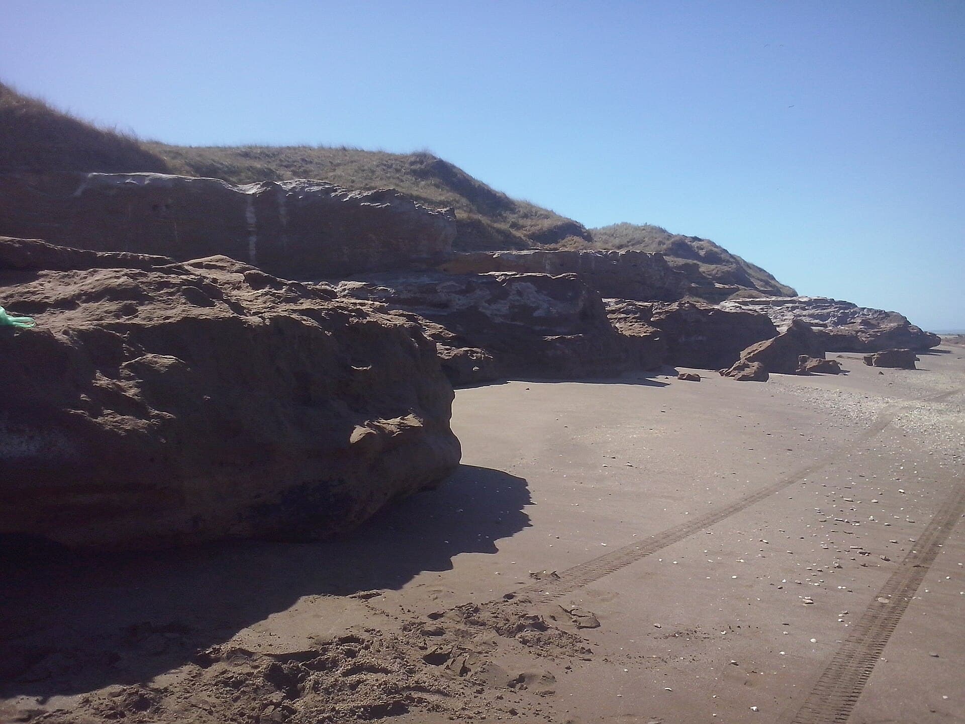 Pehuen-Có and its Fossil Footprints, Monte Hermoso