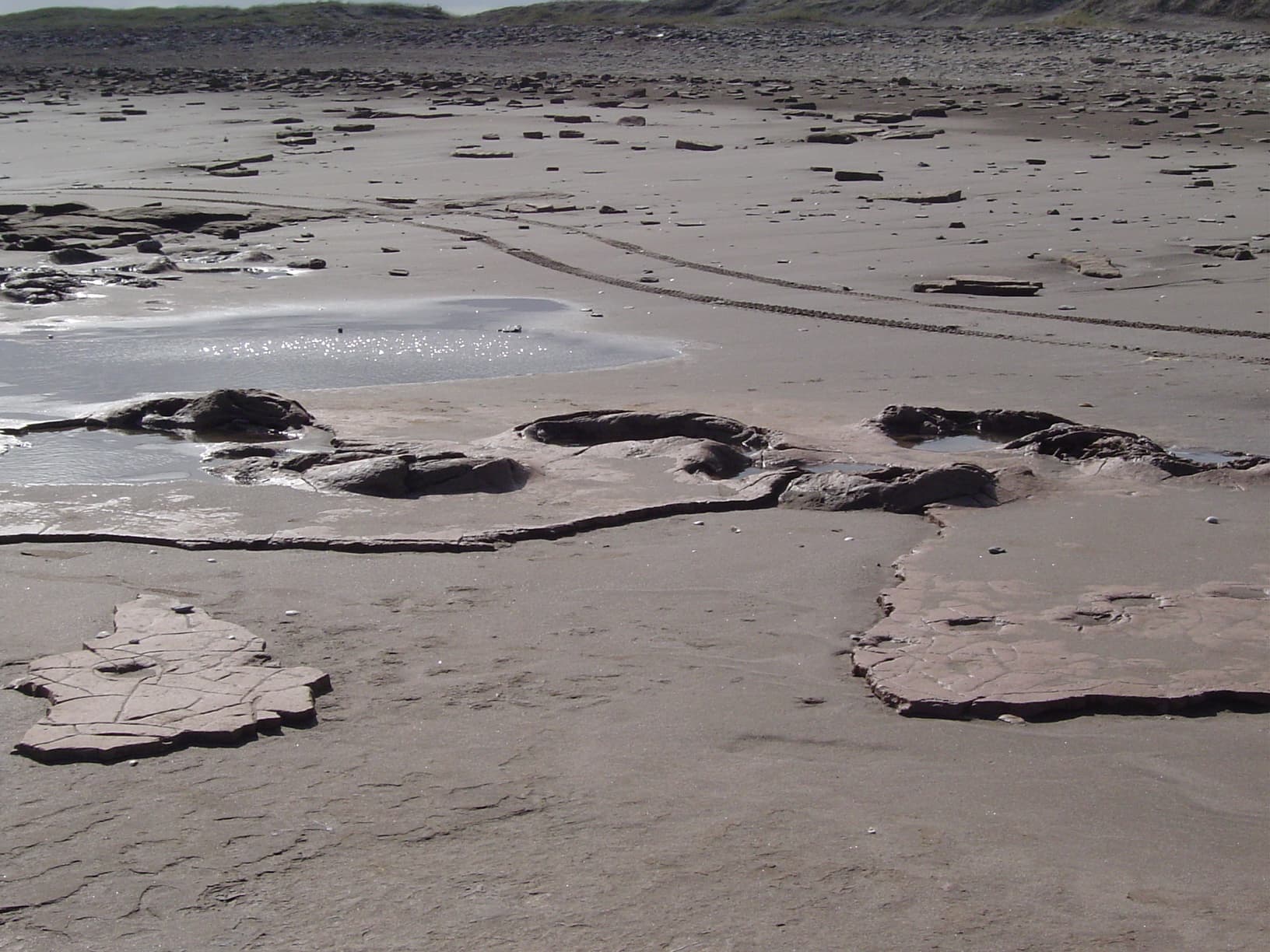 Pehuen-Có and its Fossil Footprints, Monte Hermoso