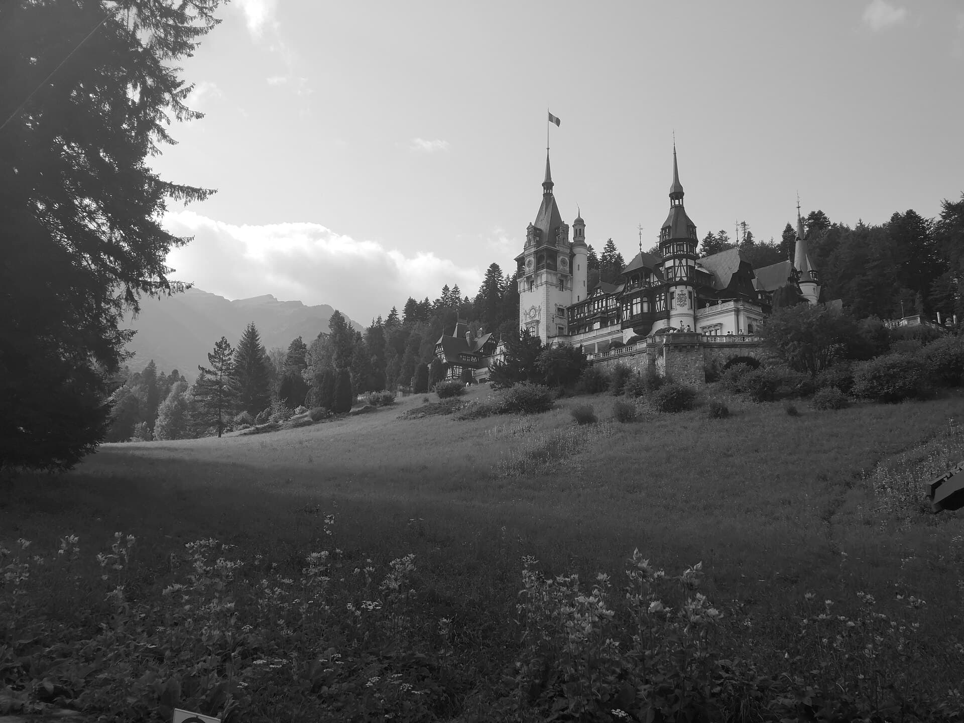 Peleș Castle, Brasov