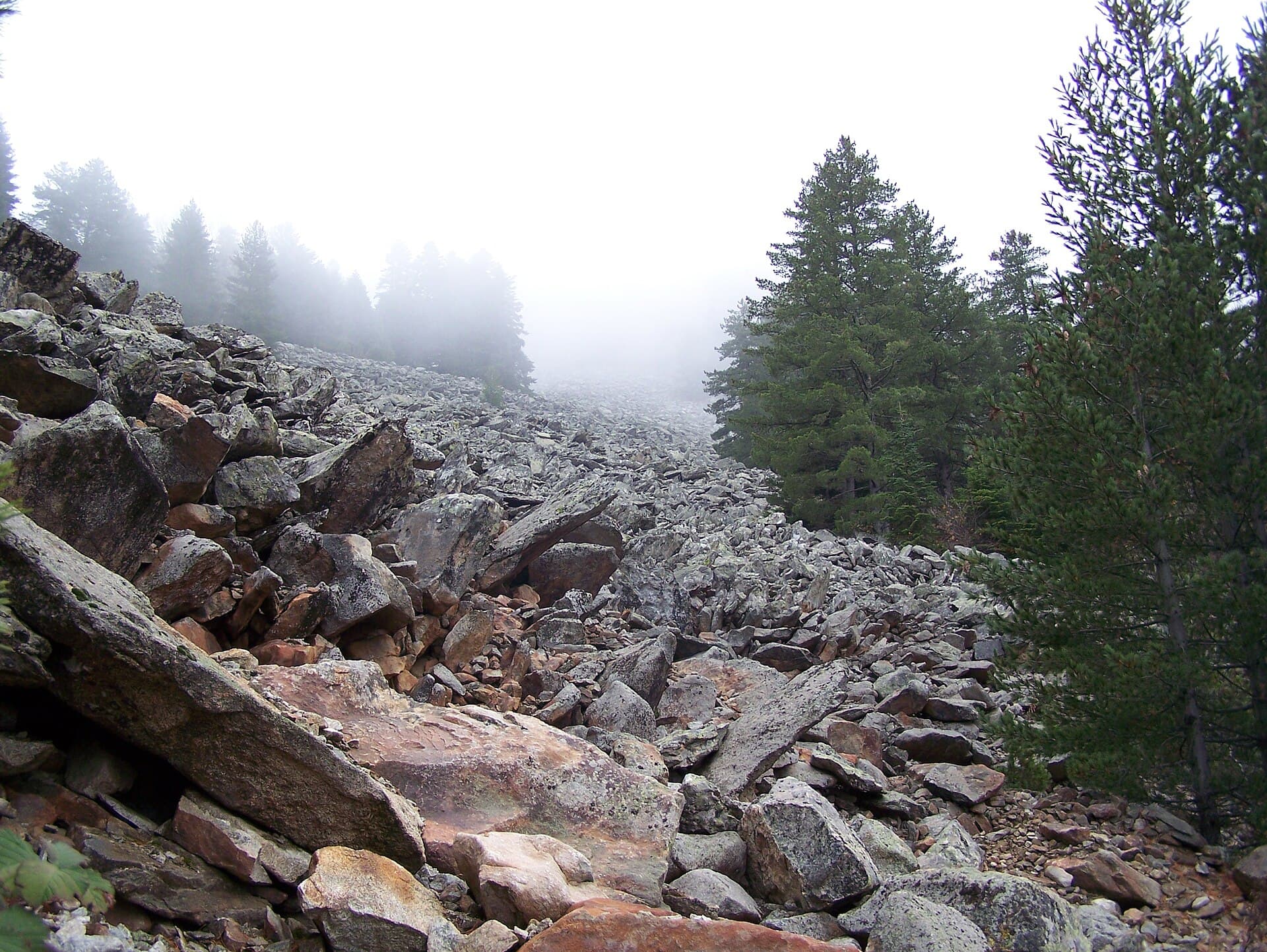 Pelister National Park, Bitola