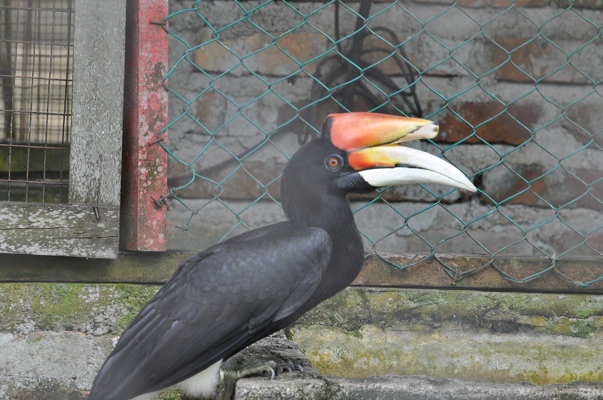 Penang Bird Park