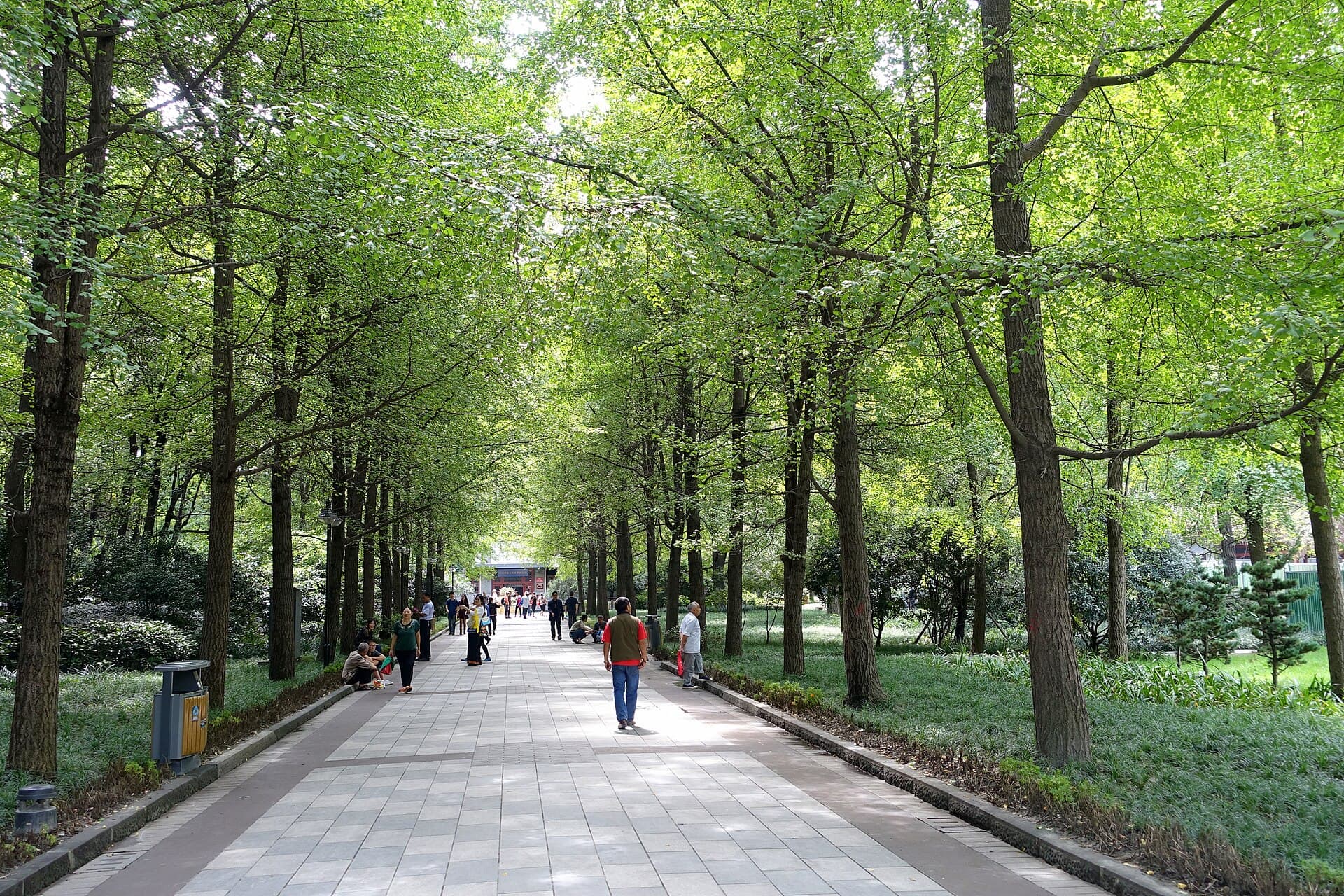 People's Park