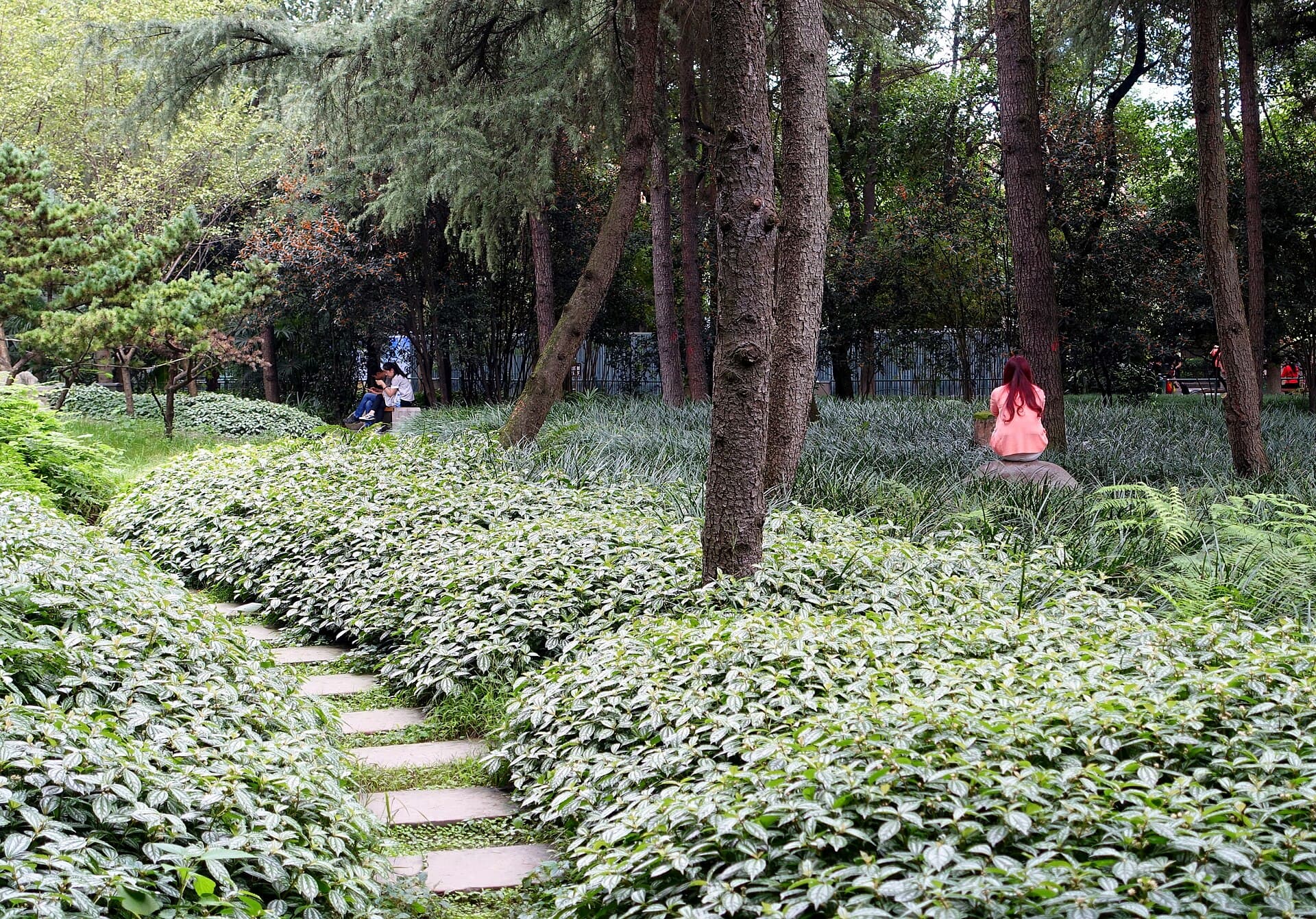 People's Park
