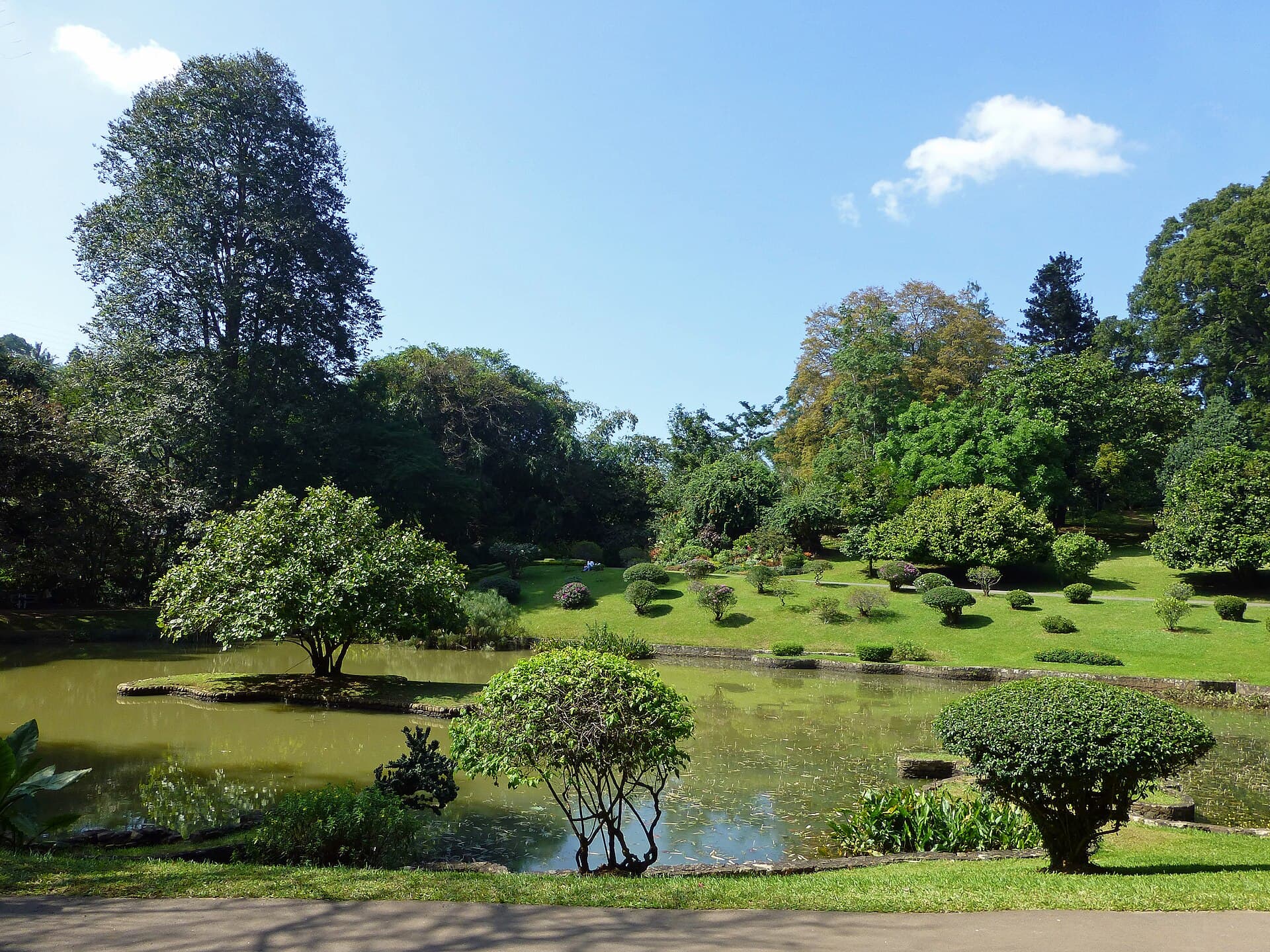 Royal Botanic Gardens, Peradeniya